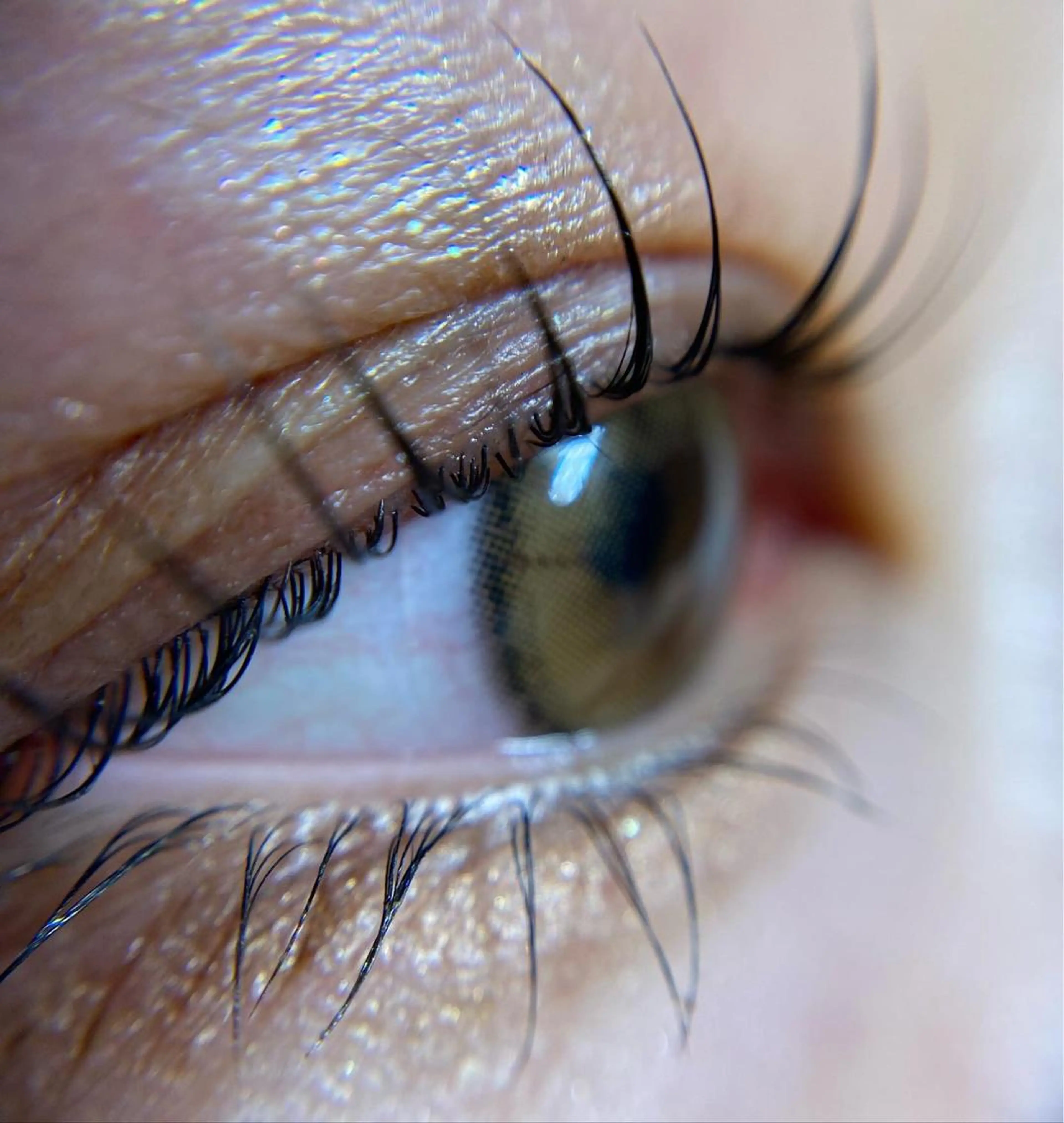 👑パリジェンヌラッシュリフト👑アイシャンプー､トリートメント美容液付き🖤ディプロマ取得公式認定店🩶の写真