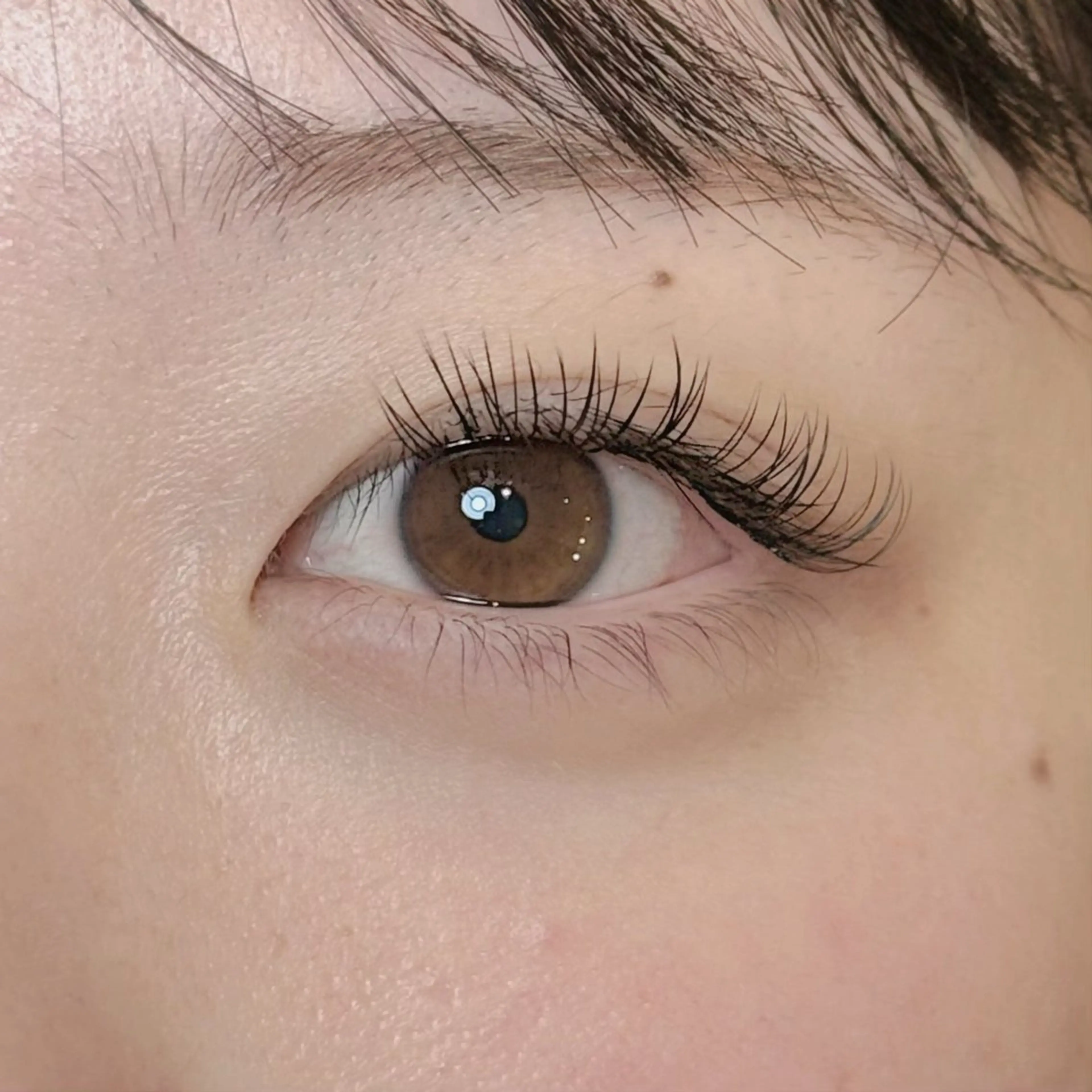 マツエク・マツパ マツパ WAVY藤沢店 🥥megumiのマツエク・マツパデザイン