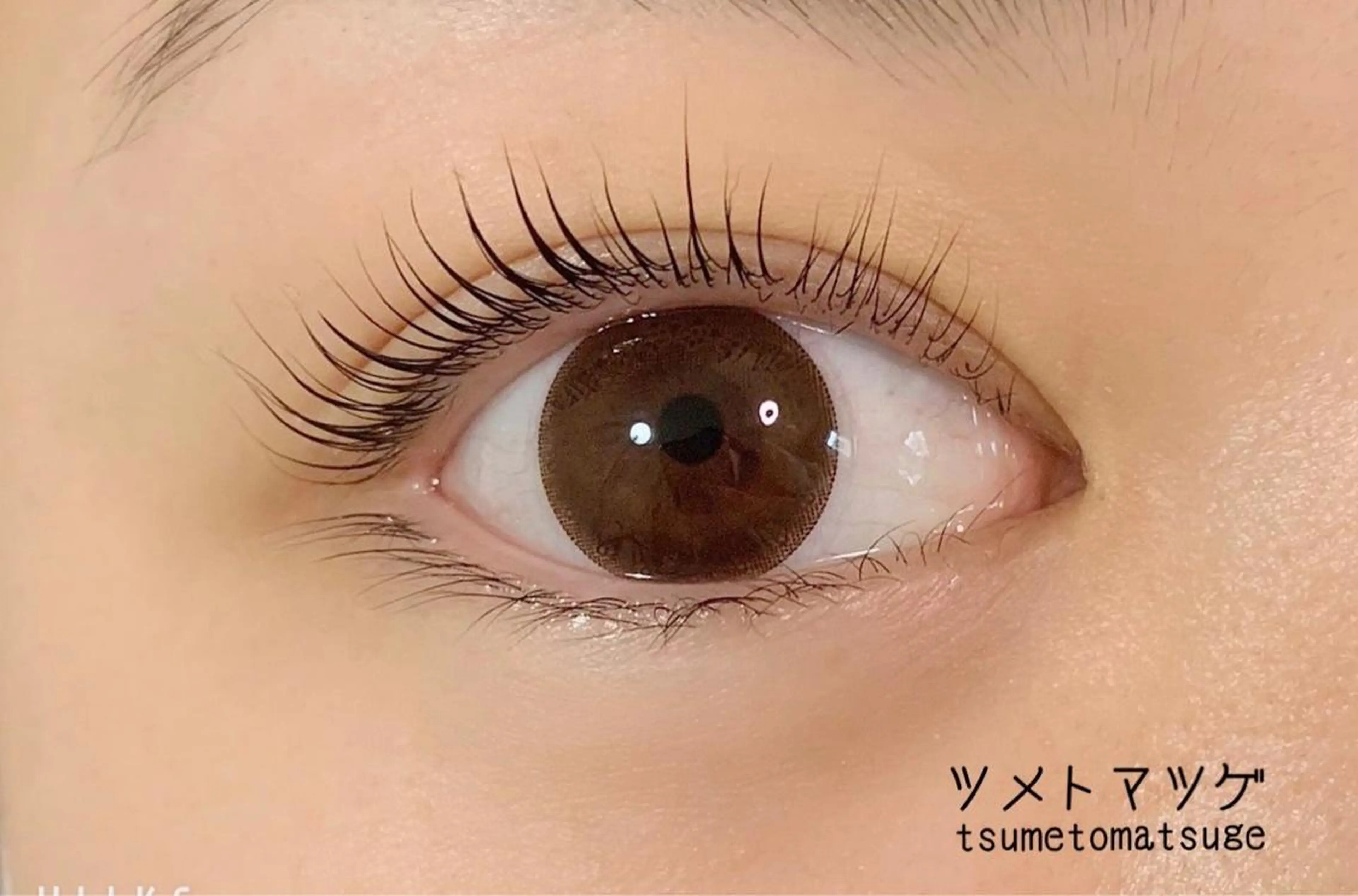 まつげパーマの写真