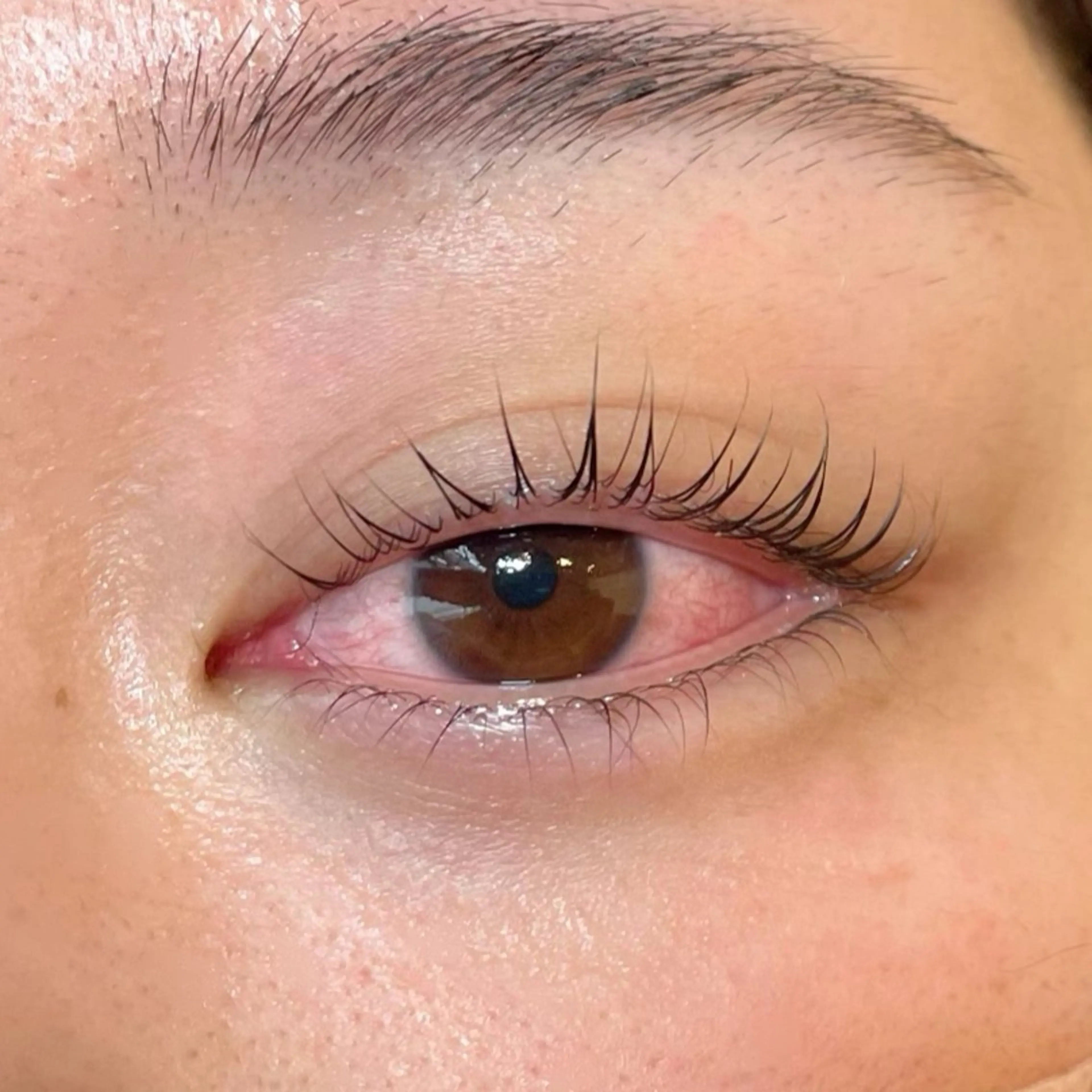 マツエク・マツパ Sakurablow 難波店　小嶋の眉毛・アイブロウイメージ