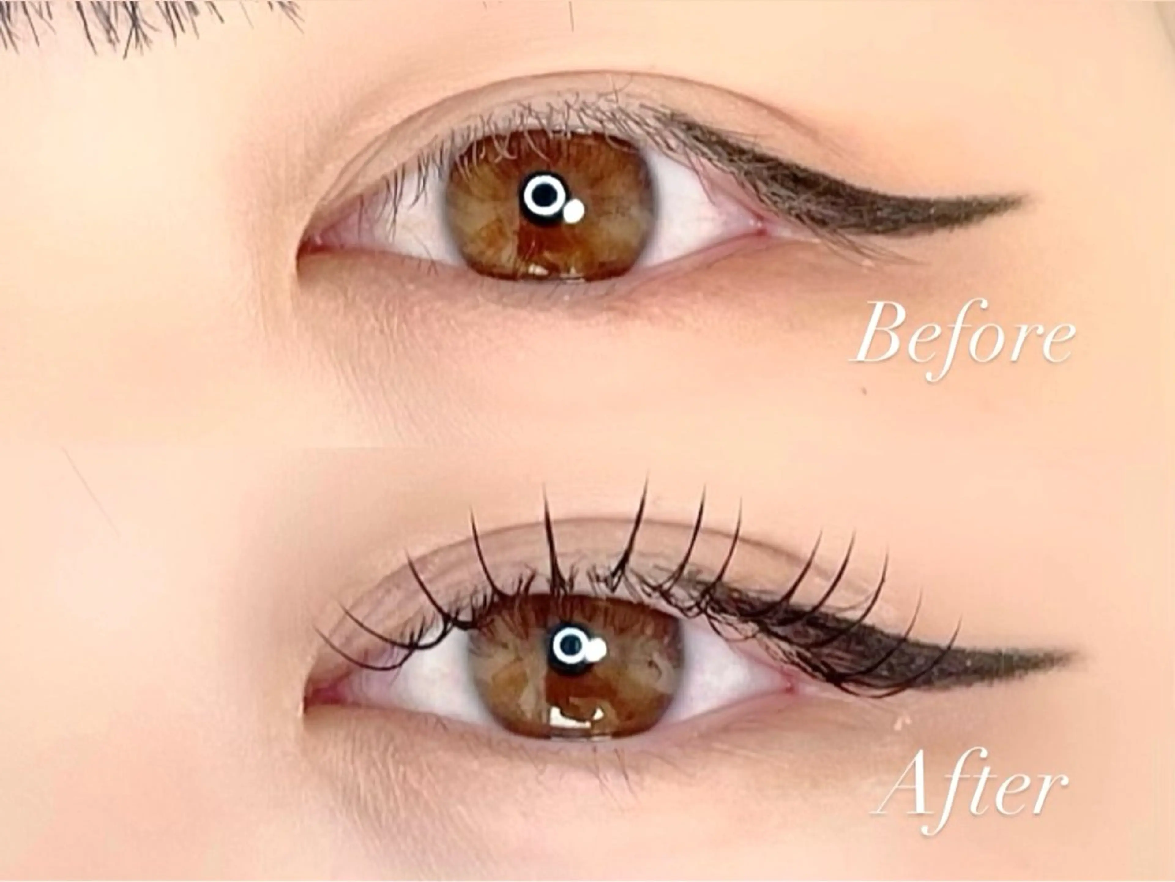 マツエク・マツパ 束感まつ毛 フラットラッシュ 韓国風マツエク Po eyelash ･:* 下北沢のマツエク・マツパデザイン