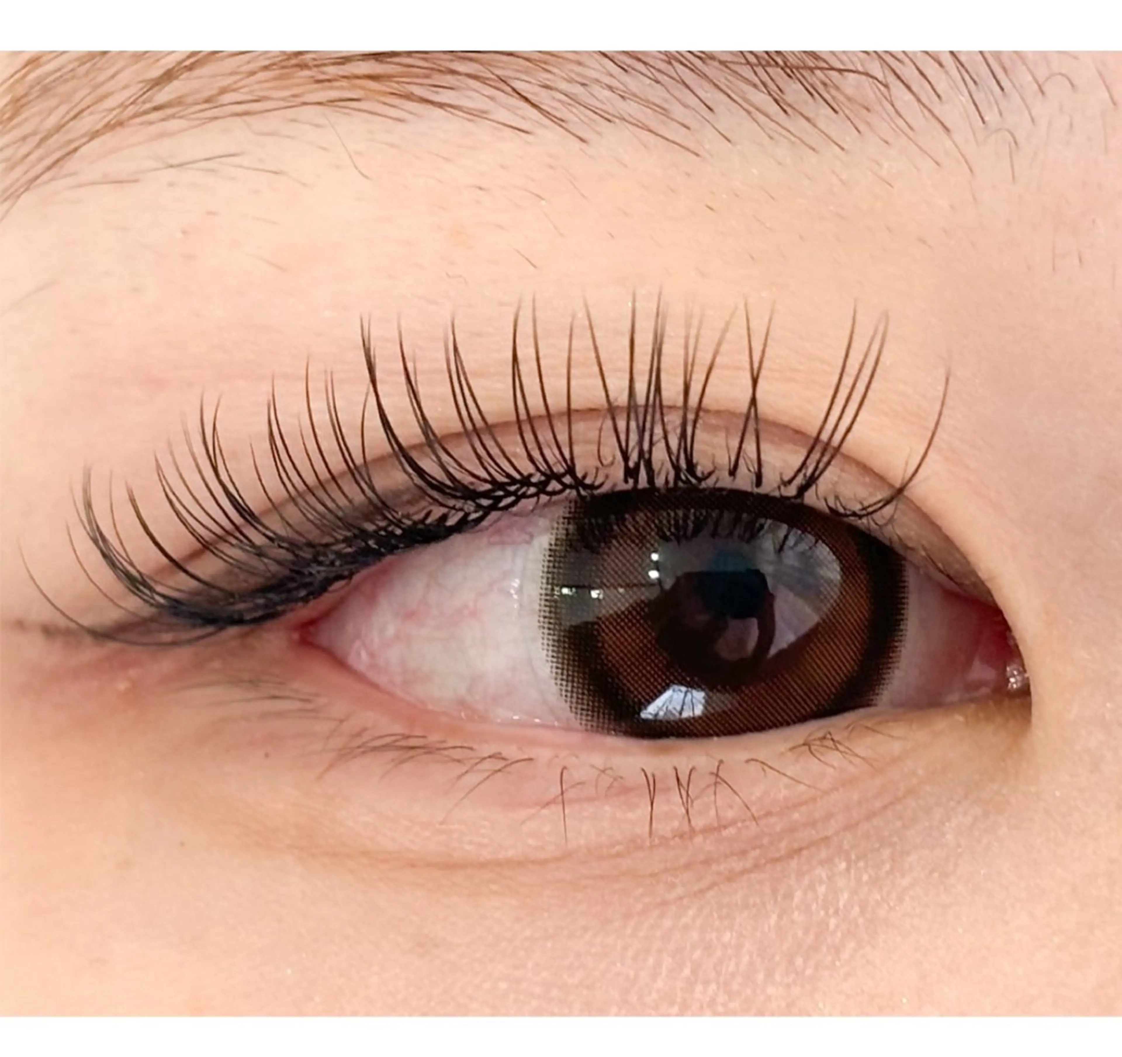 マツエク・マツパ マツエク Aprilush🦋 Cieloのマツエク・マツパデザイン