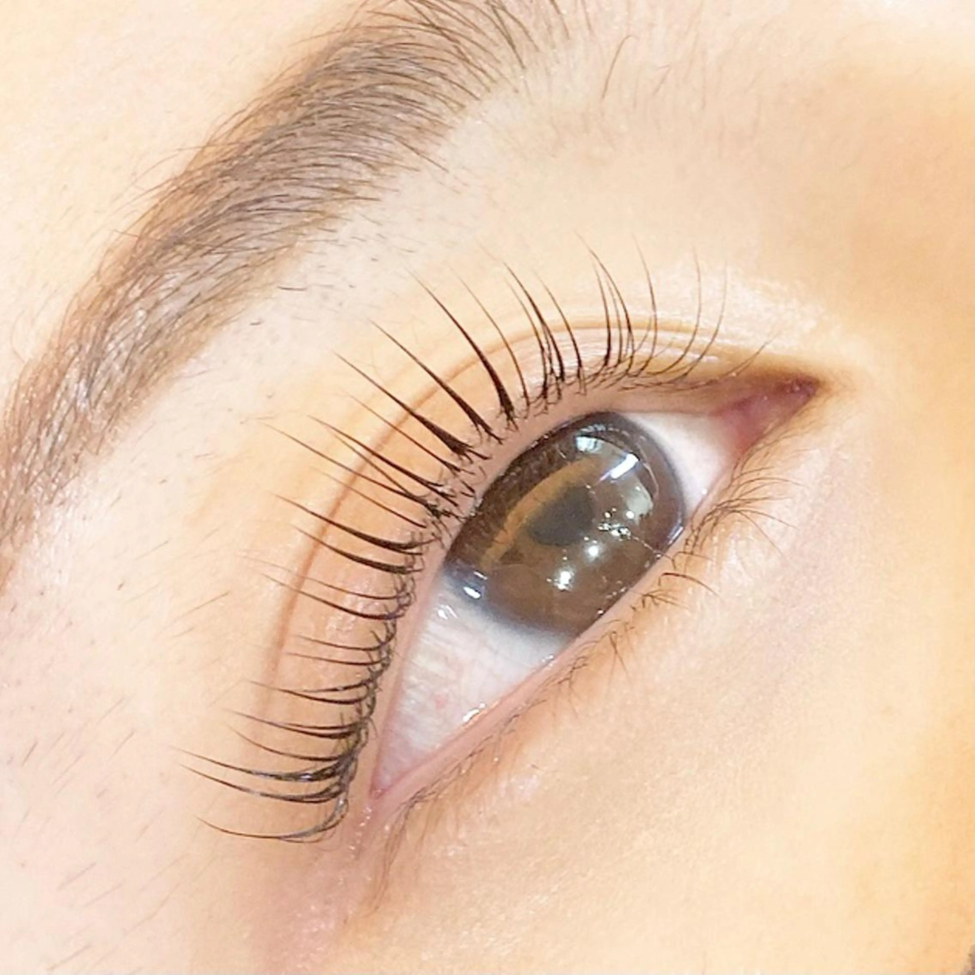 マツエク・マツパ パリジェンヌラッシュリフト アイズ アカデミーのマツエク・マツパデザイン