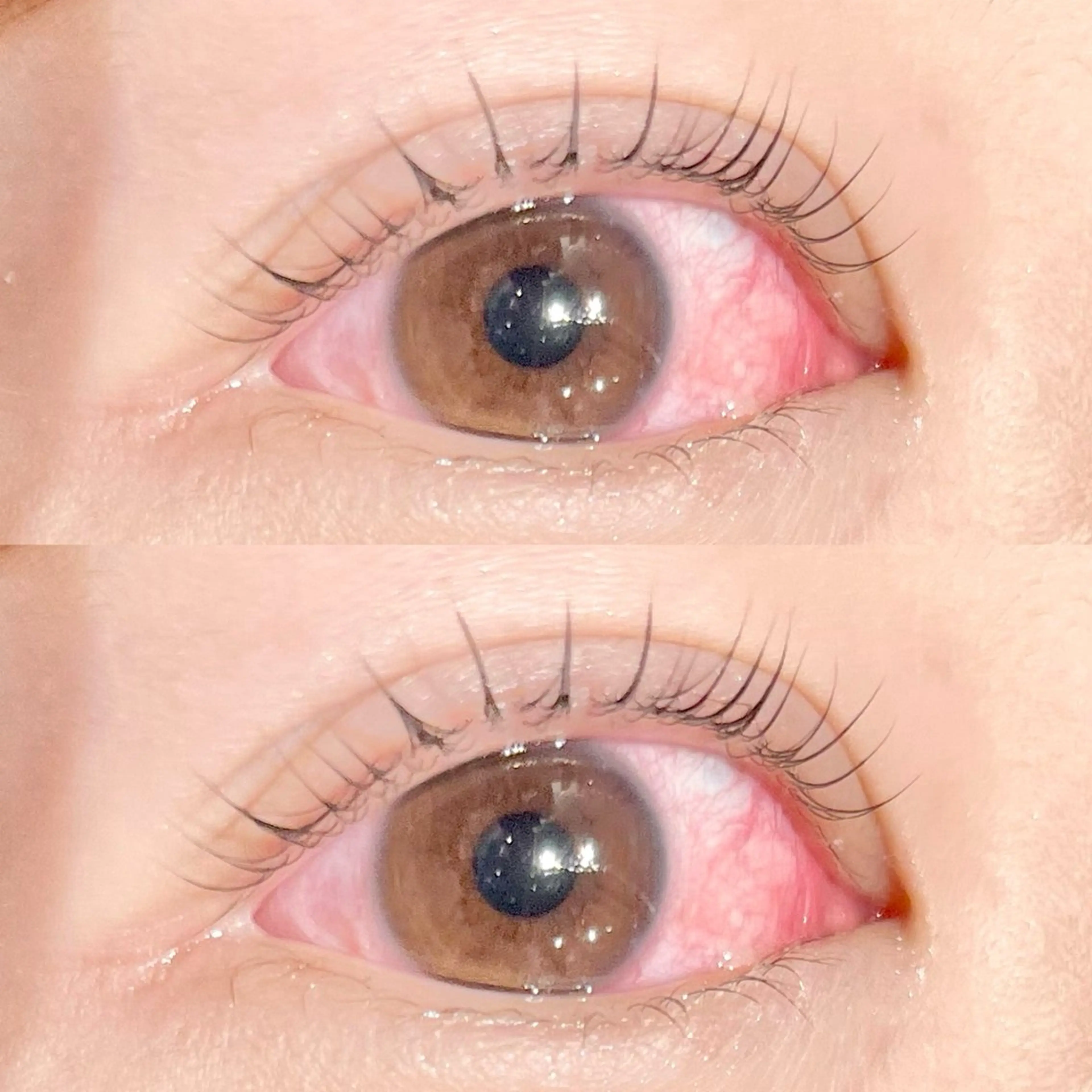 パリジェンヌの写真