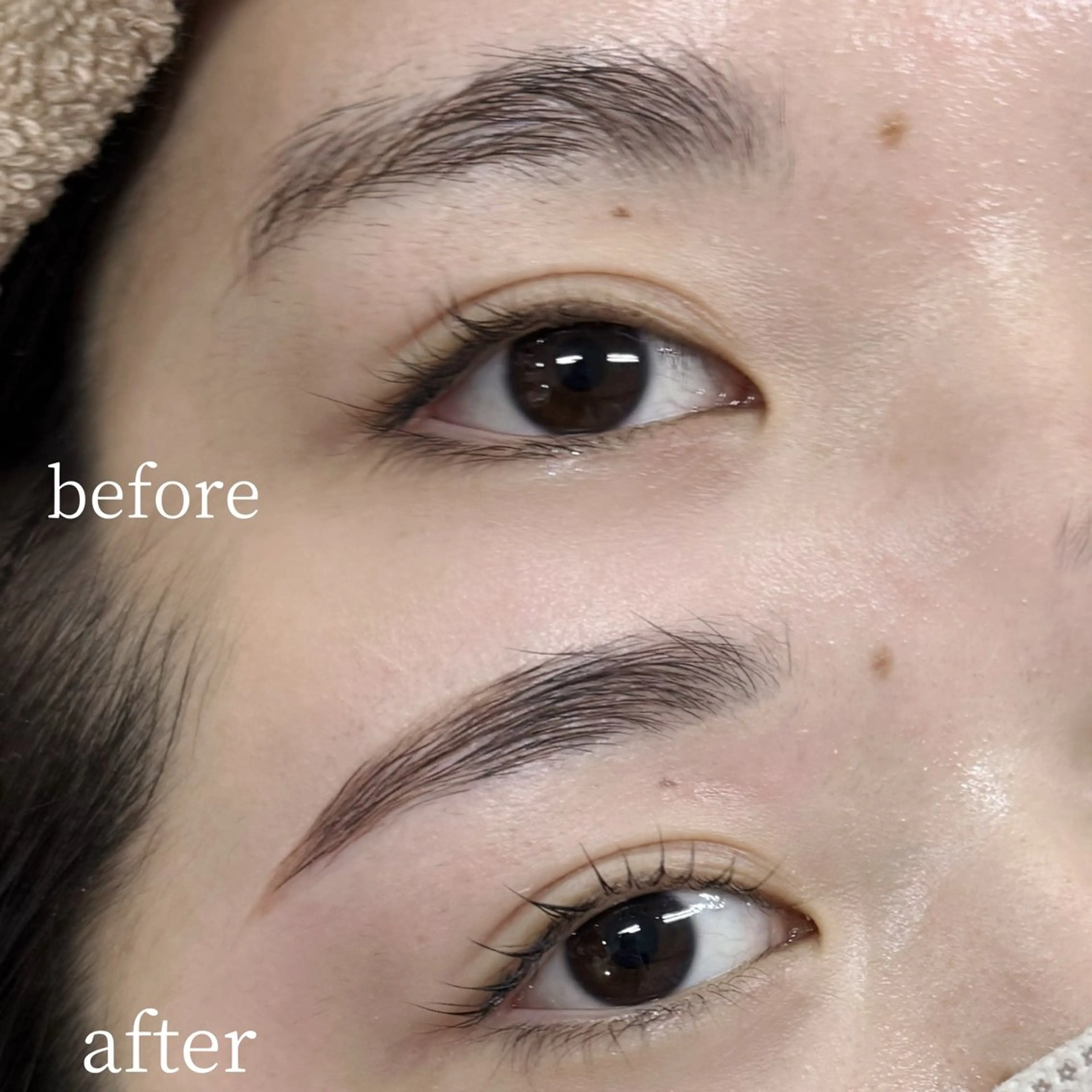 🦖平日限定🦖まつ毛パーマ+眉毛ワックス🫧✨️の写真