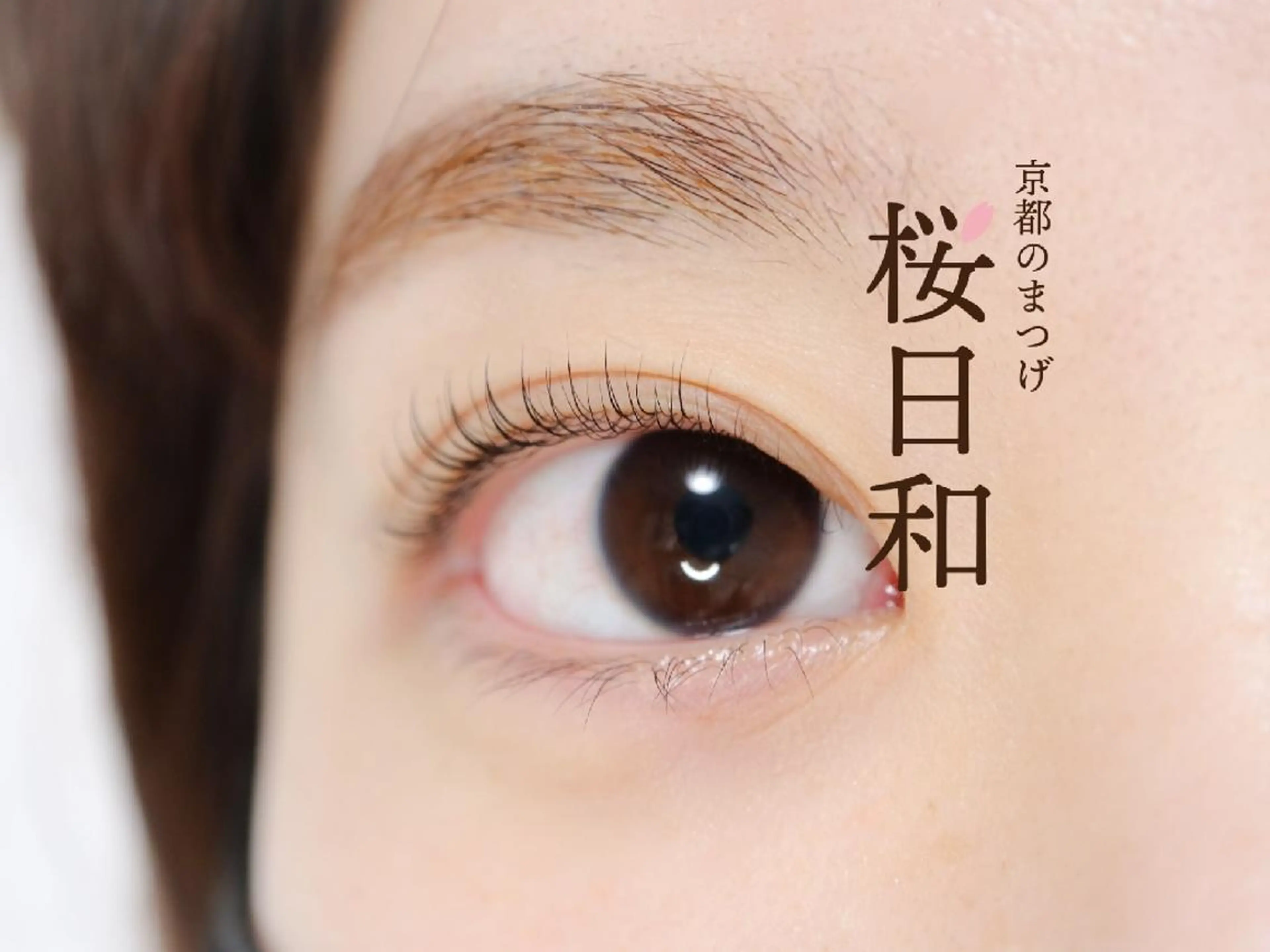 マツエク・マツパ フラットラッシュ ナチュラル まつげパーマ 一重×まつ毛パーマ ボリュームラッシュ 京都のまつげ桜日和 小島美桜のマツエク・マツパデザイン