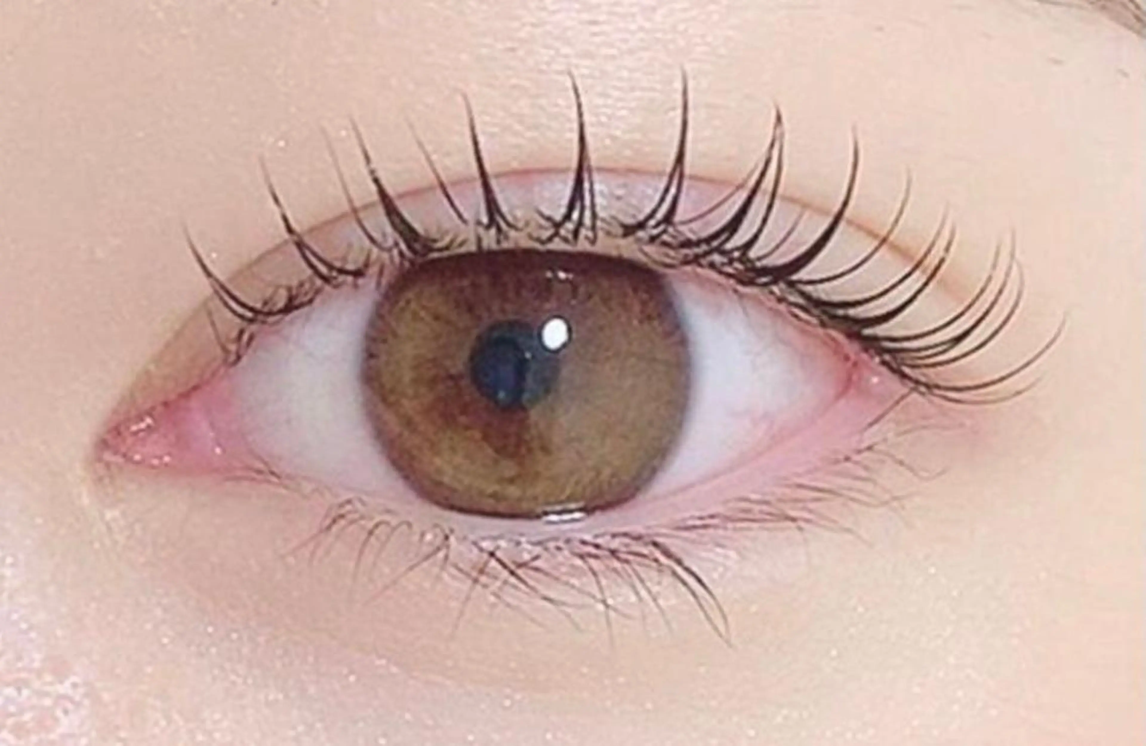 【6週以内】次世代まつ毛パーマ　アイシャンプー&トリートメント付の写真