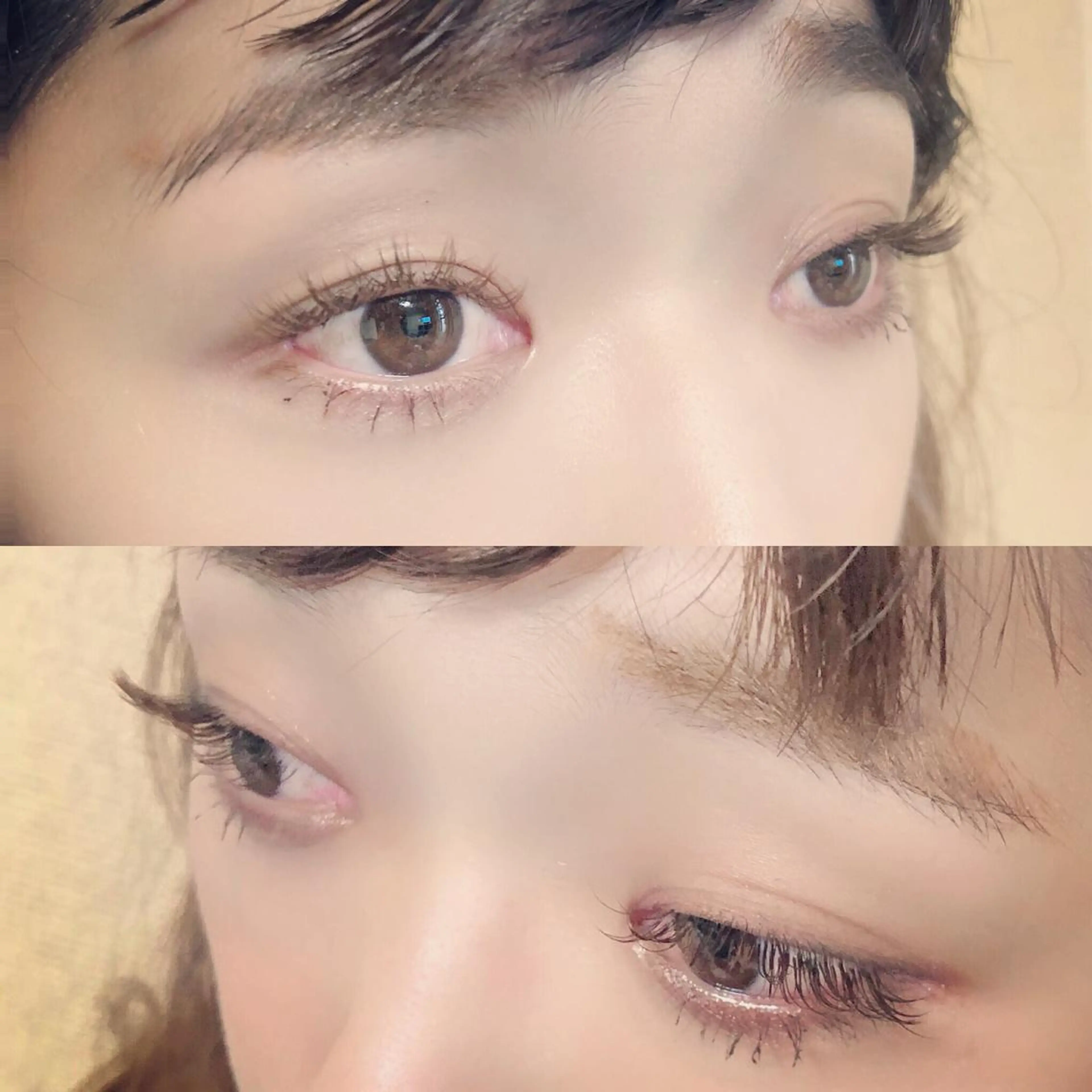 マツエク・マツパ カラーマツエク ナチュラル East AkkA eyelash所属・オザキ -のマツエク・マツパデザイン