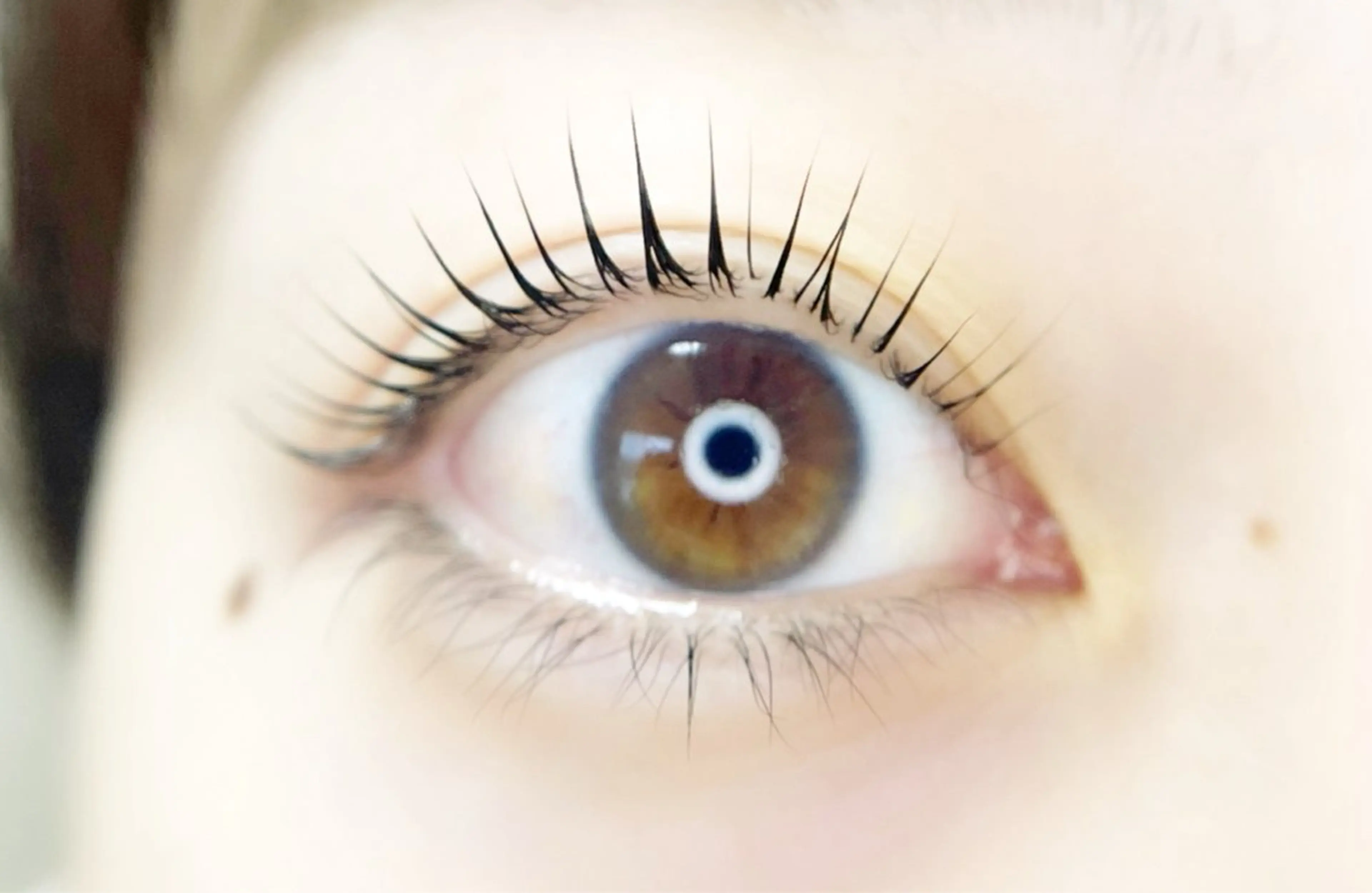 マツエク・マツパ 岩本 真緒のマツエク・マツパデザイン