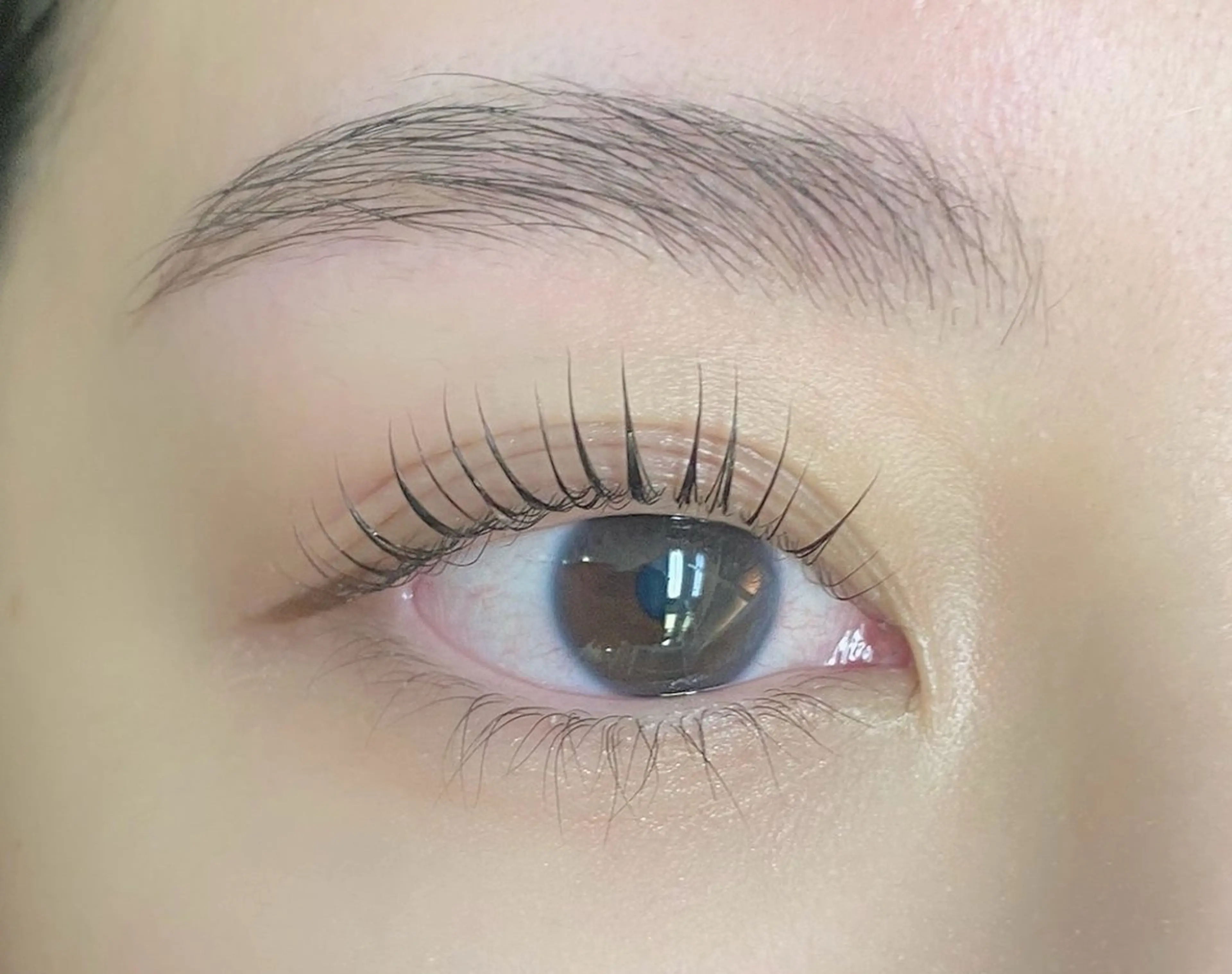 【初回】まつげパーマ(上)⭐️内部補修トリートメント付¥5000→4500の写真