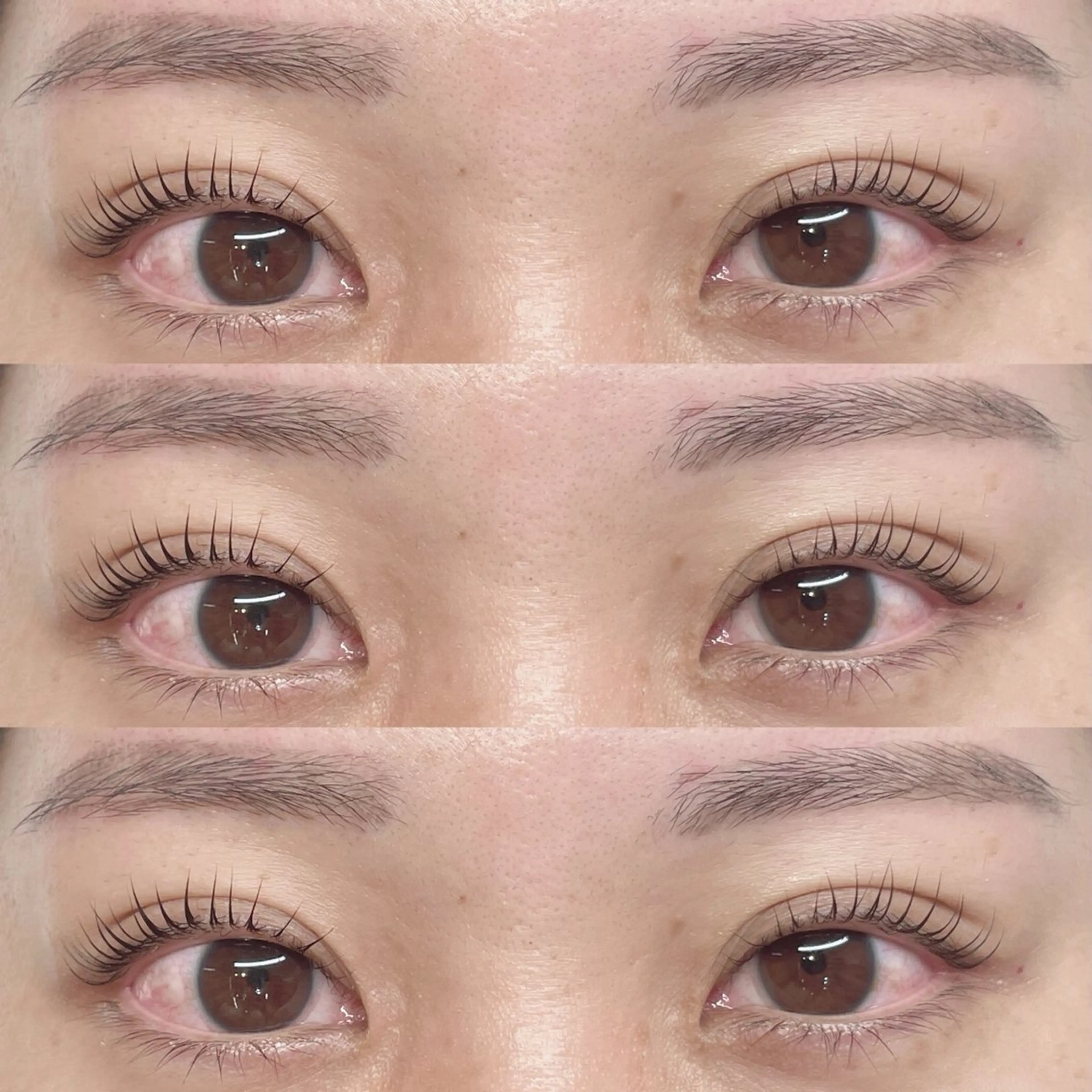 美眉WAX脱毛＋まつげパーマ（上）の写真