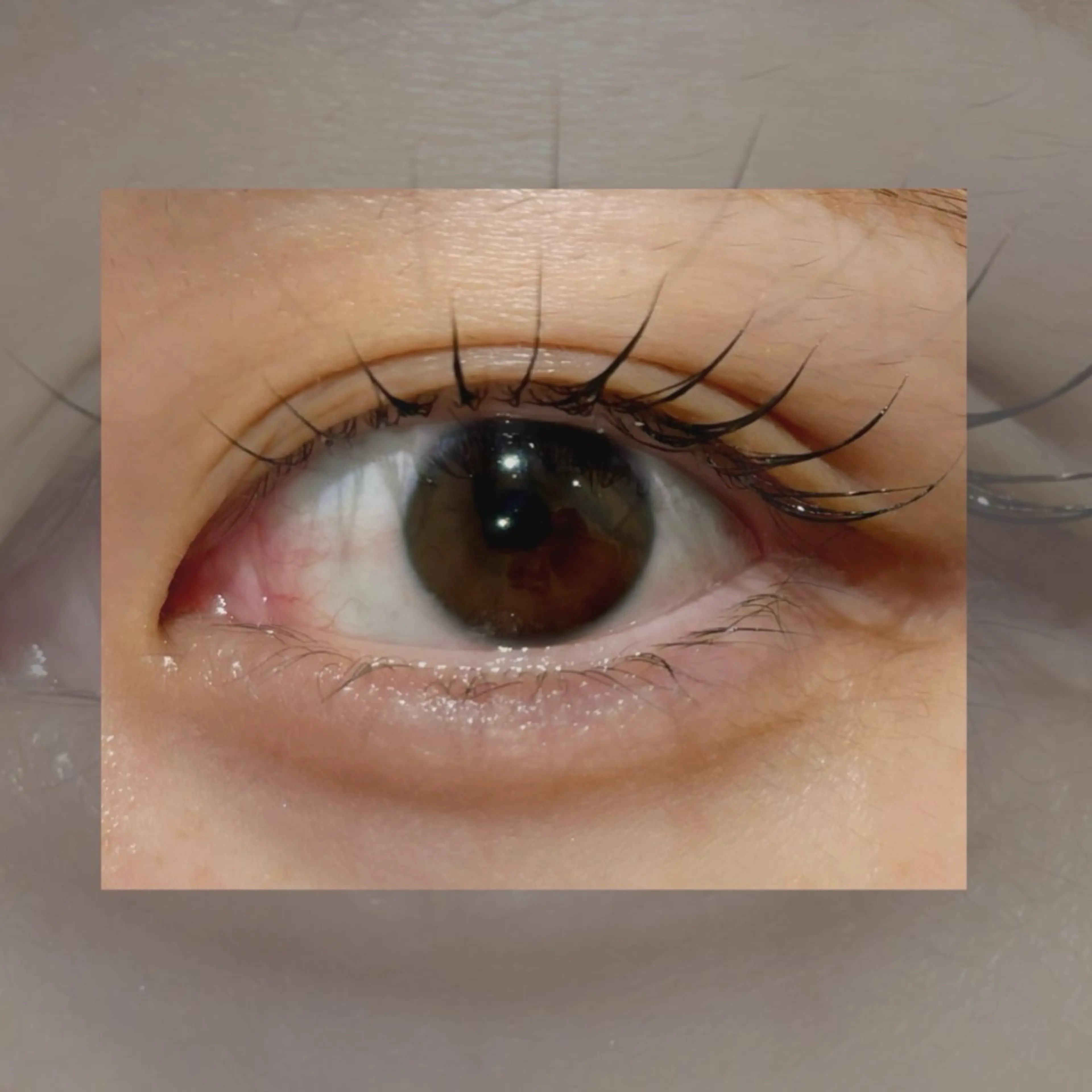 マツエク・マツパ Lucii鹿児島中央×Frill所属・きょうか 🦊のマツエク・マツパデザイン