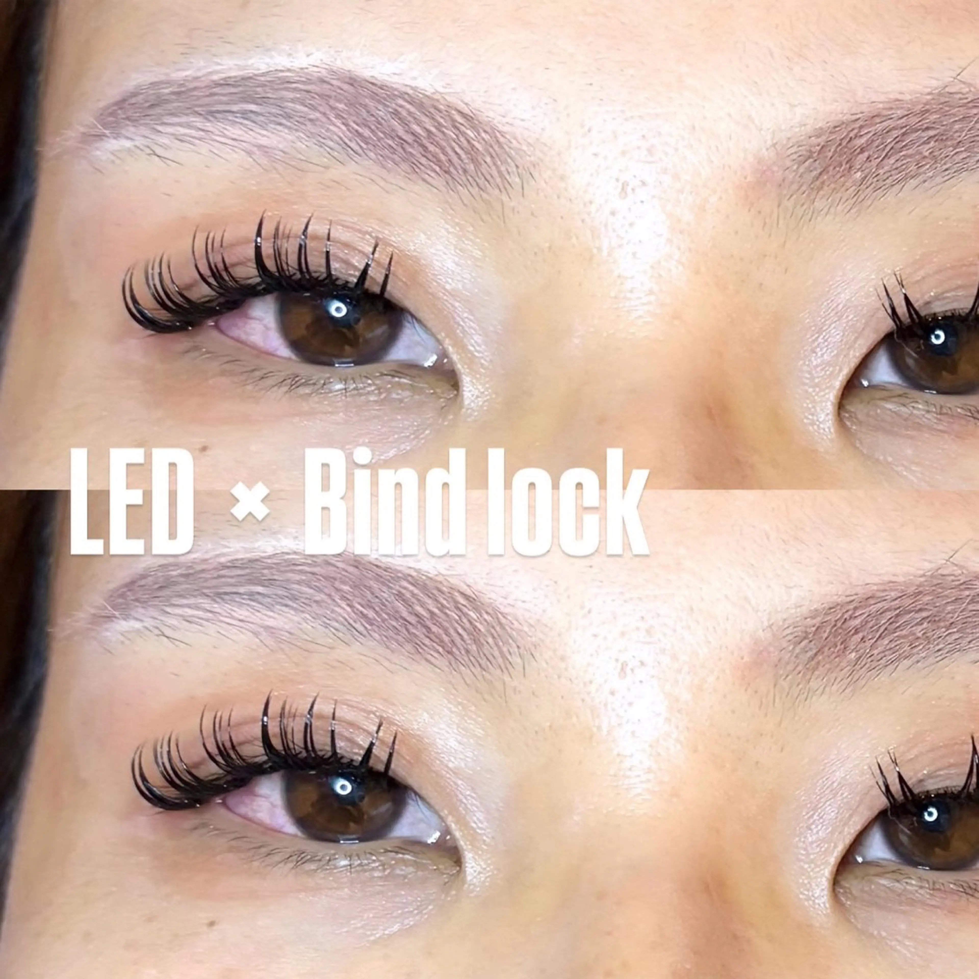 【地域最安値】🍒バインドロック140束🍒の写真