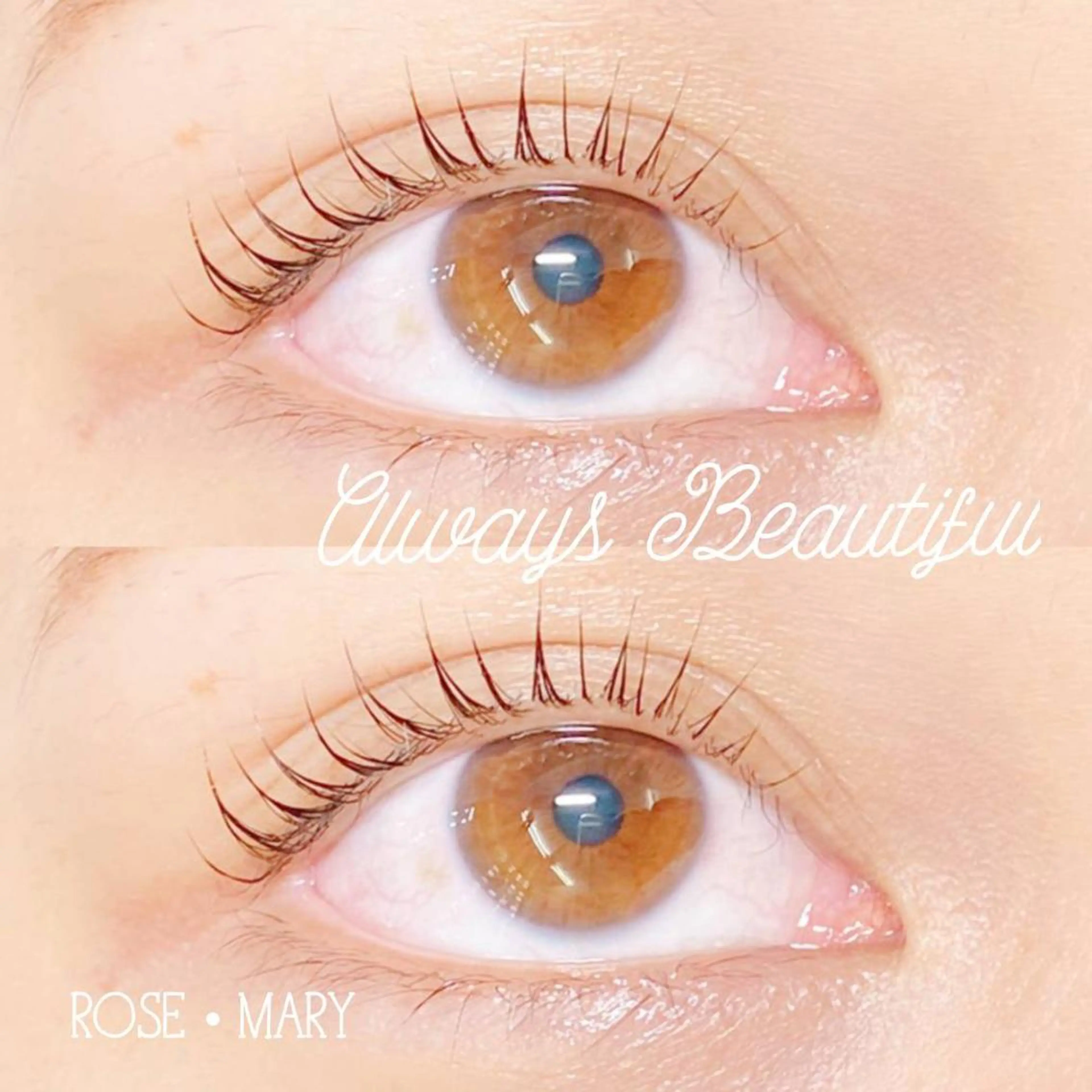 マツエク・マツパ マツパ ROSE MARY 大竹のマツエク・マツパデザイン