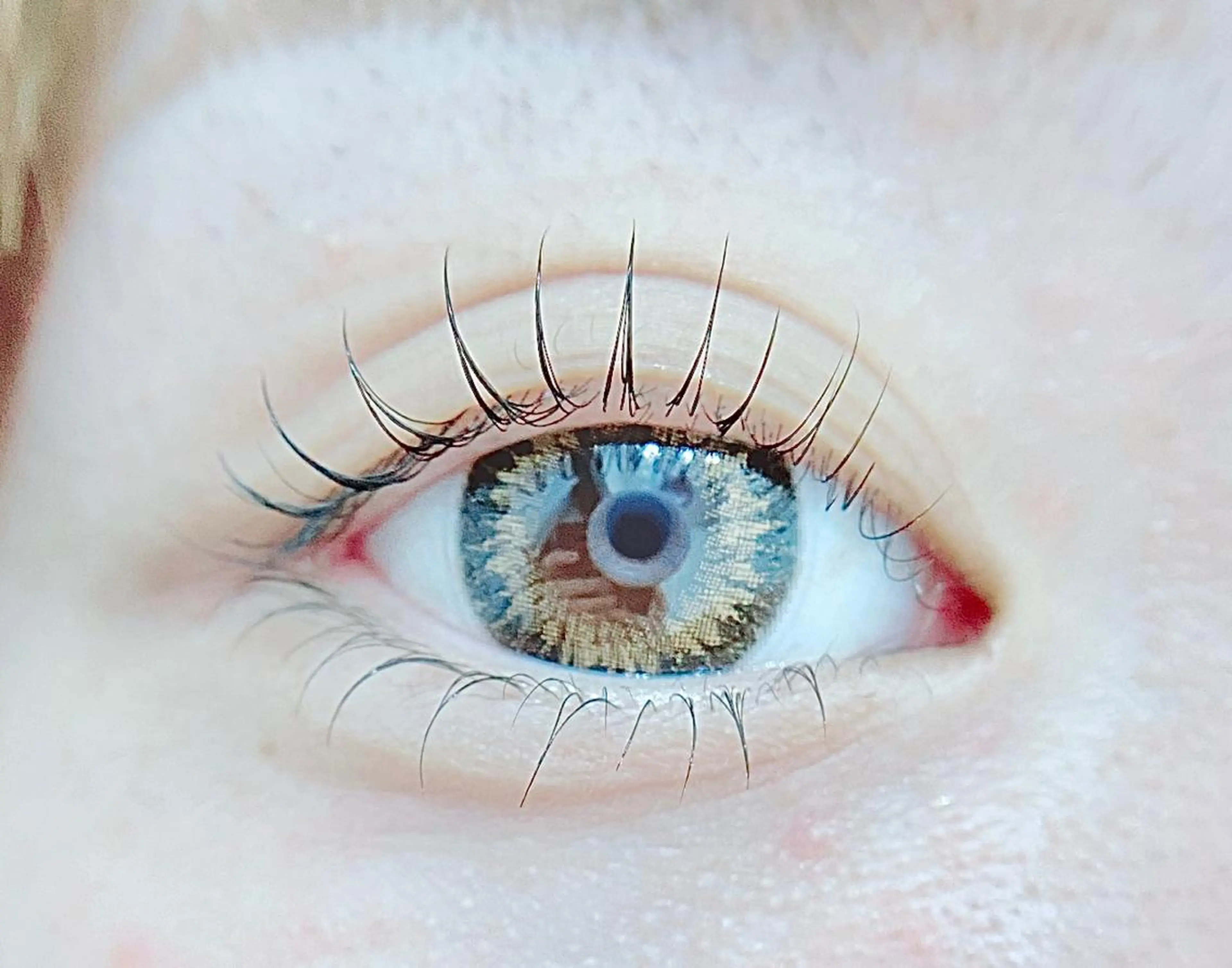 マツエク・マツパ マツパ Rabbit hagaのマツエク・マツパデザイン