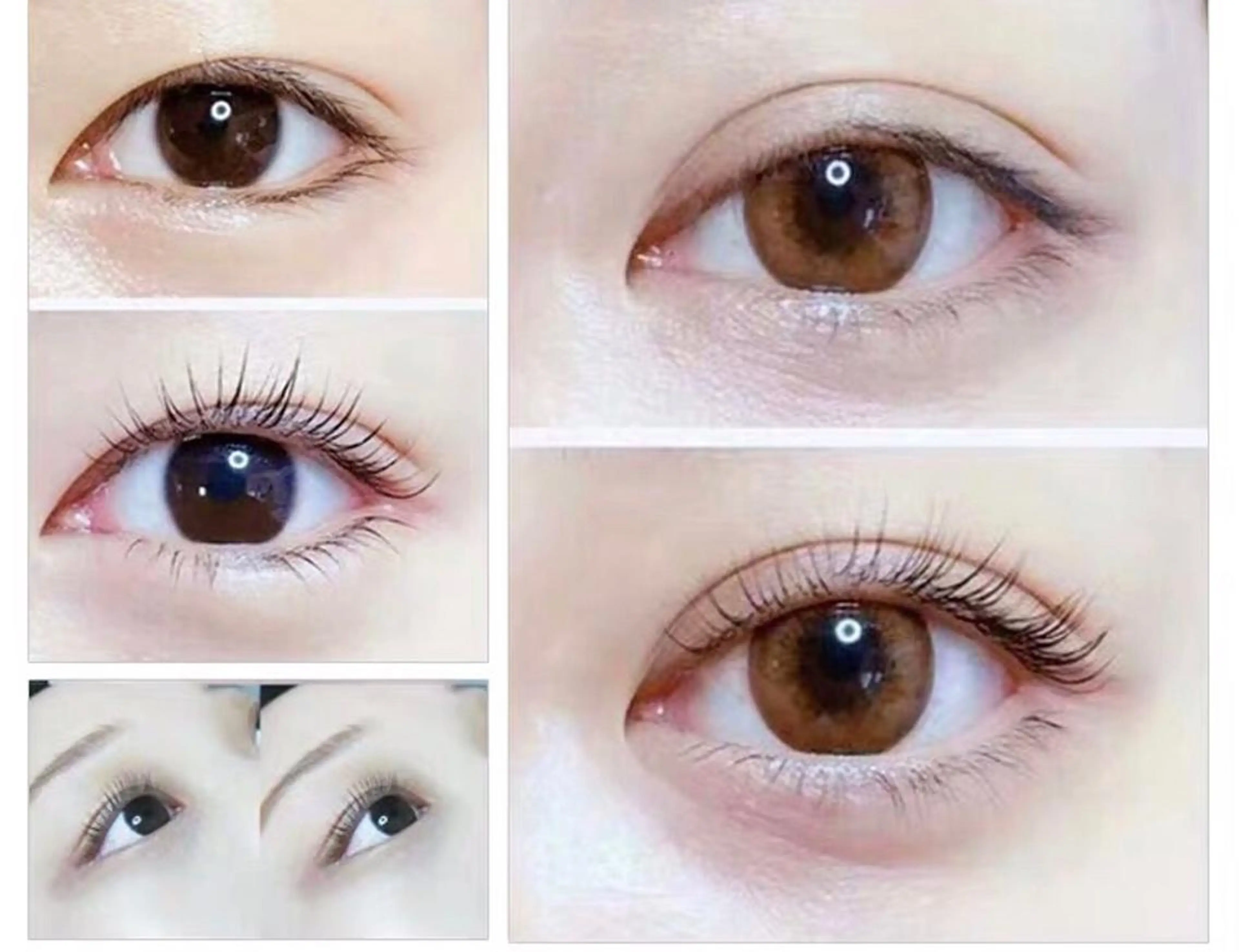 マツエク・マツパ マツパ Livnus リブナスのマツエク・マツパデザイン