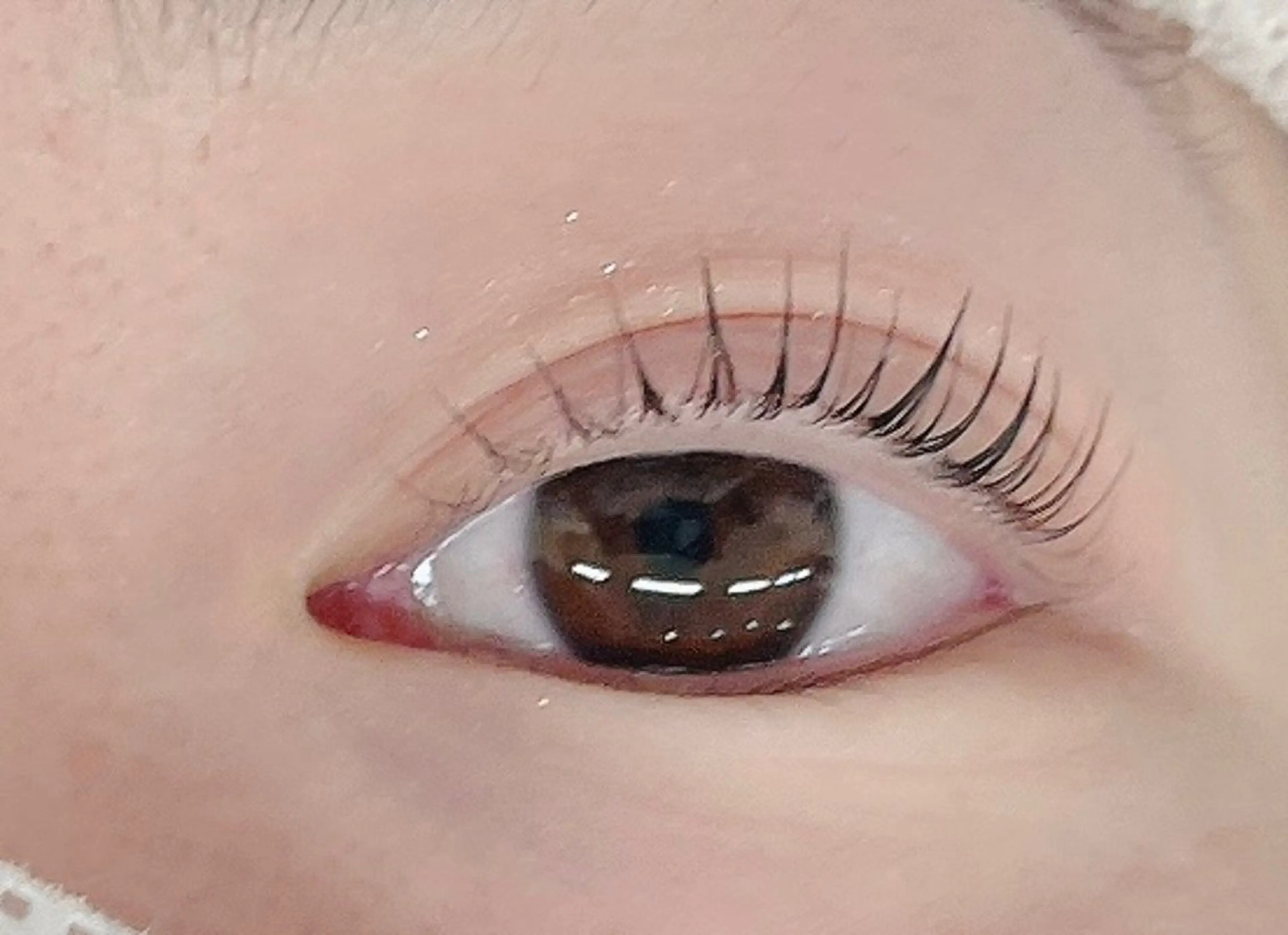 マツエク・マツパ マツパ マリーテレジア 🌻RUKAのマツエク・マツパデザイン