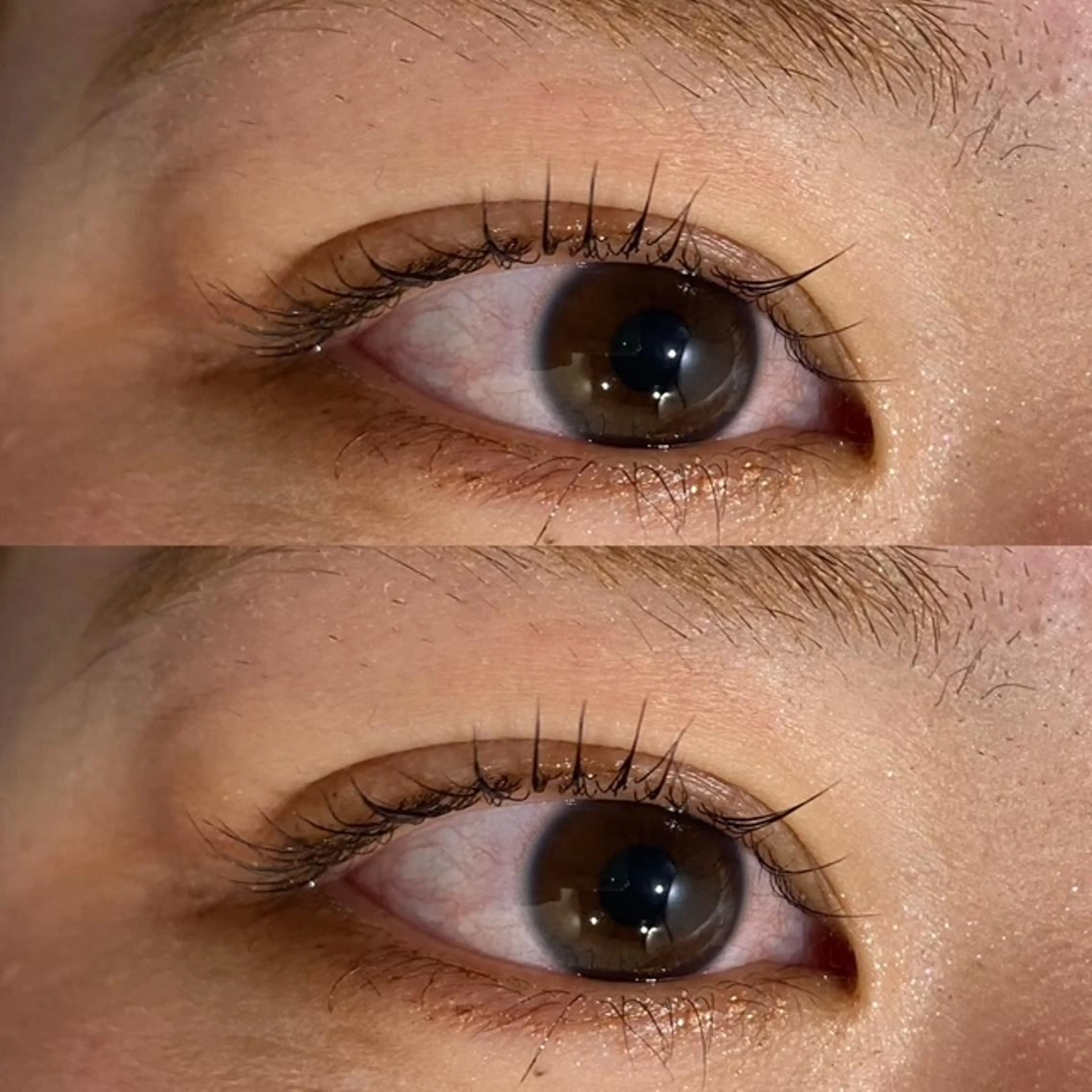 マツエク・マツパ マツパ アリレイナ 鎌倉店のマツエク・マツパデザイン