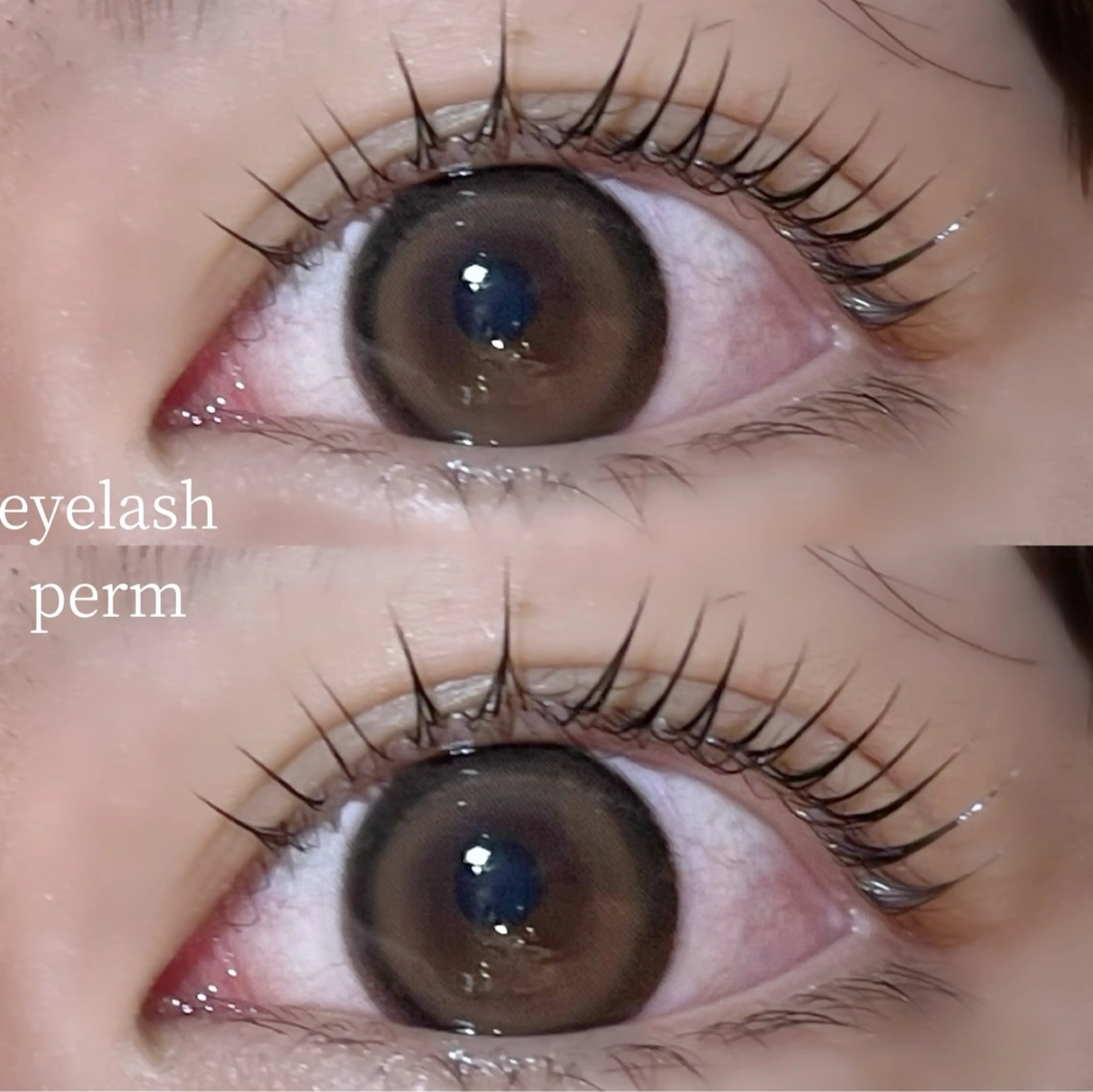 マツエク・マツパ Mon mignon ෆ‪momokaのマツエク・マツパデザイン