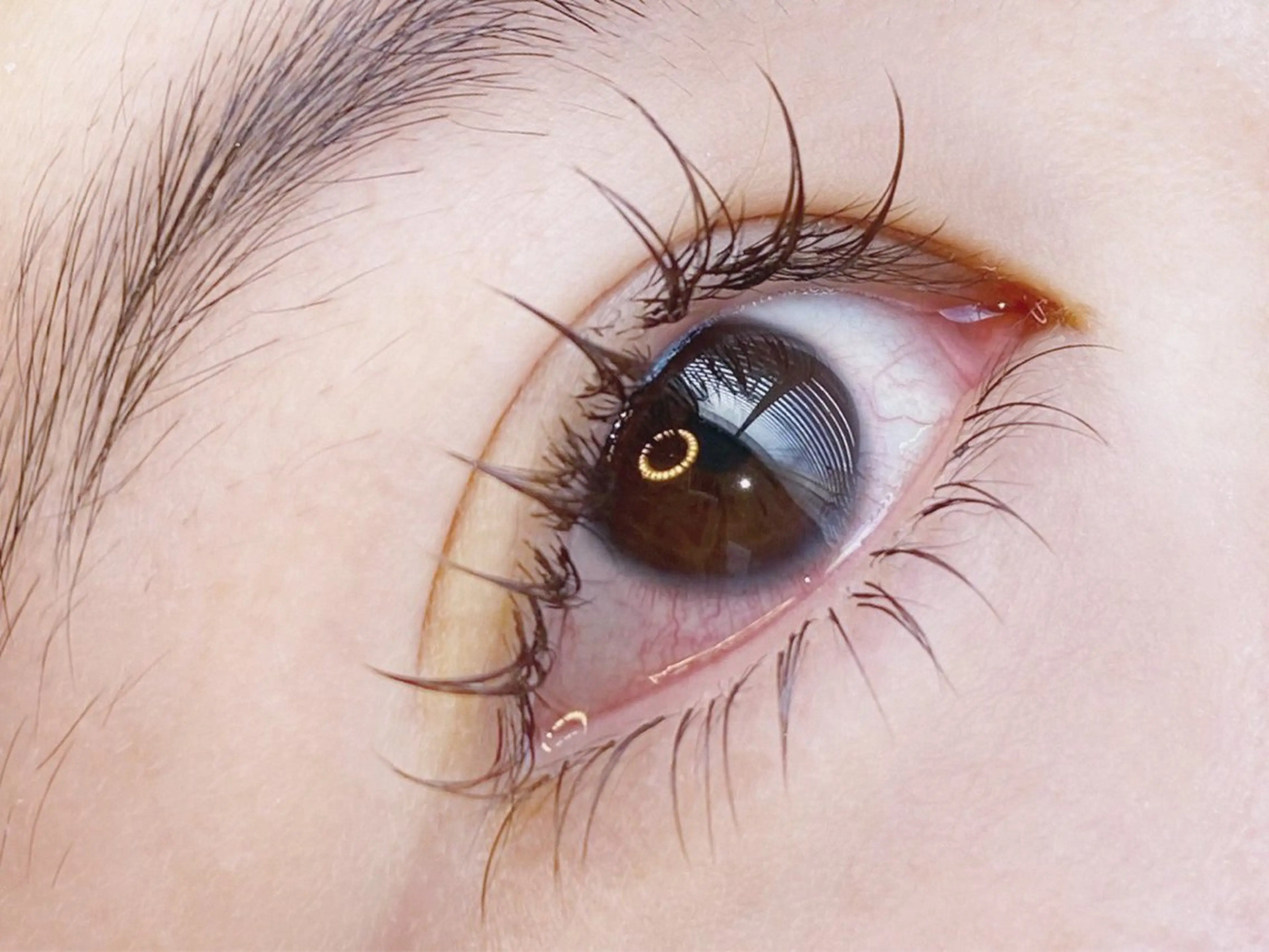 【新規】平日限定⭐️フラットラッシュ140本まで(＋1100円でカラー可)の写真