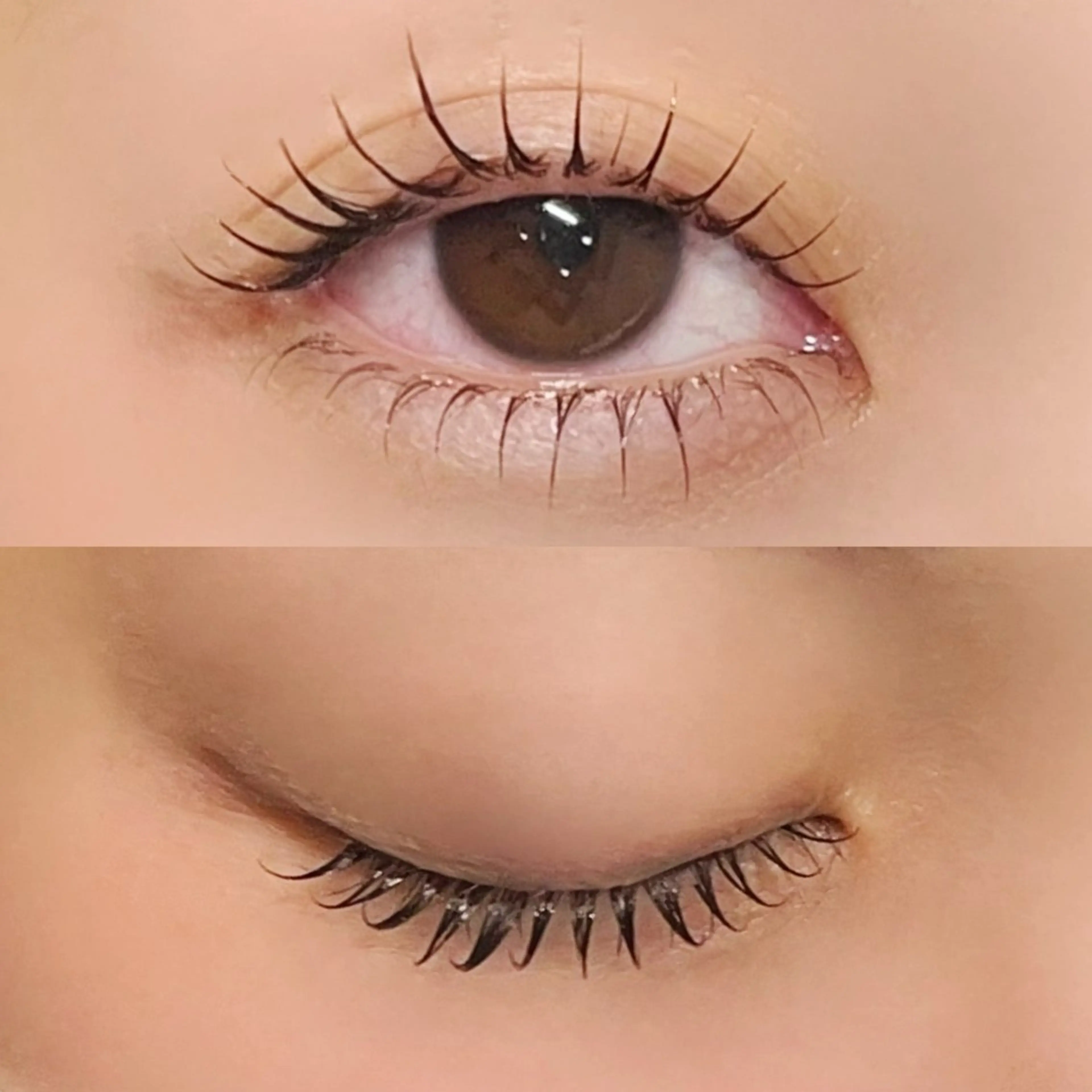 【⚠️柏店 限定】 垢抜け確定💚まつげパーマ上下🎀柏/眉毛、まつげサロン🌟の写真