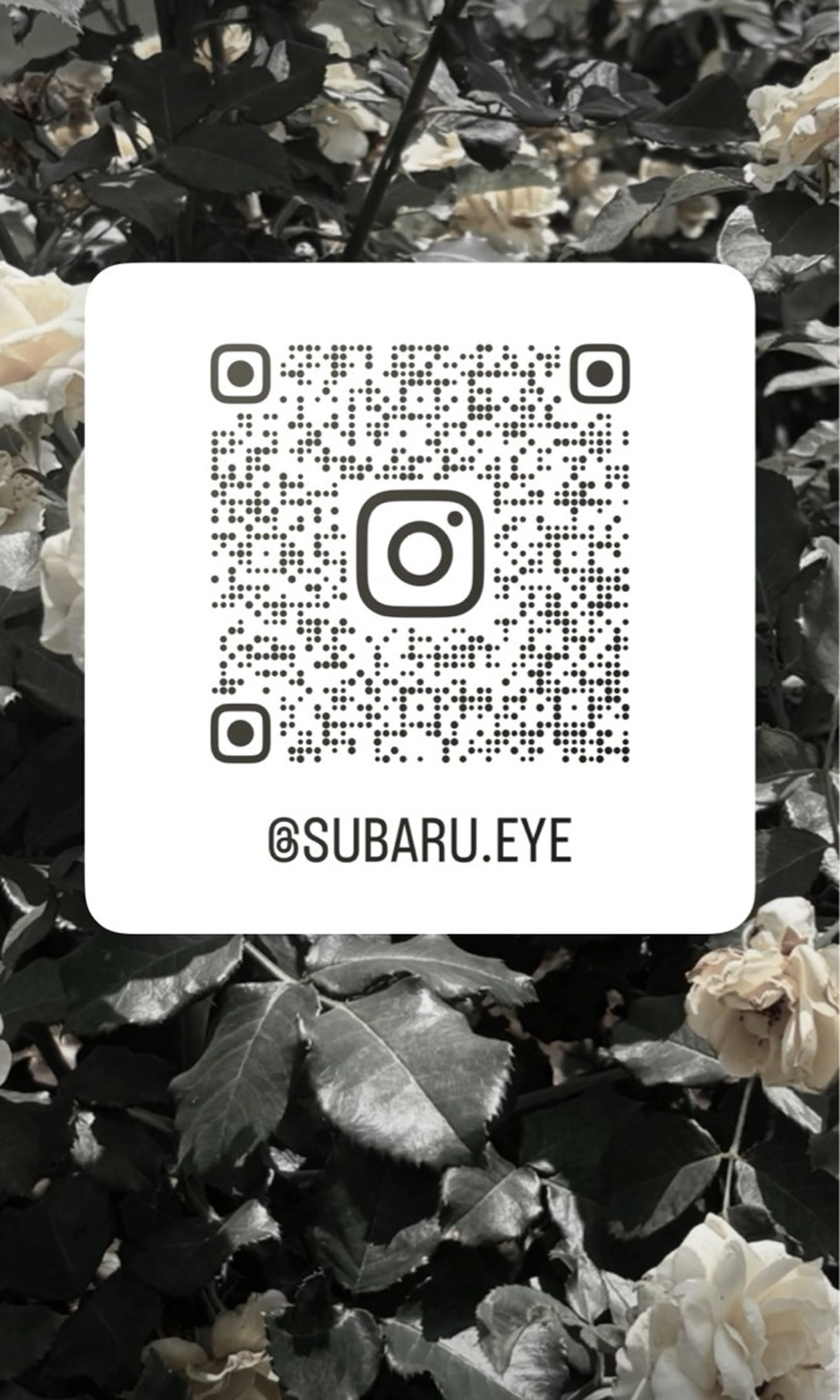 マツエク・マツパ 内田 朱春のマツエク・マツパデザイン