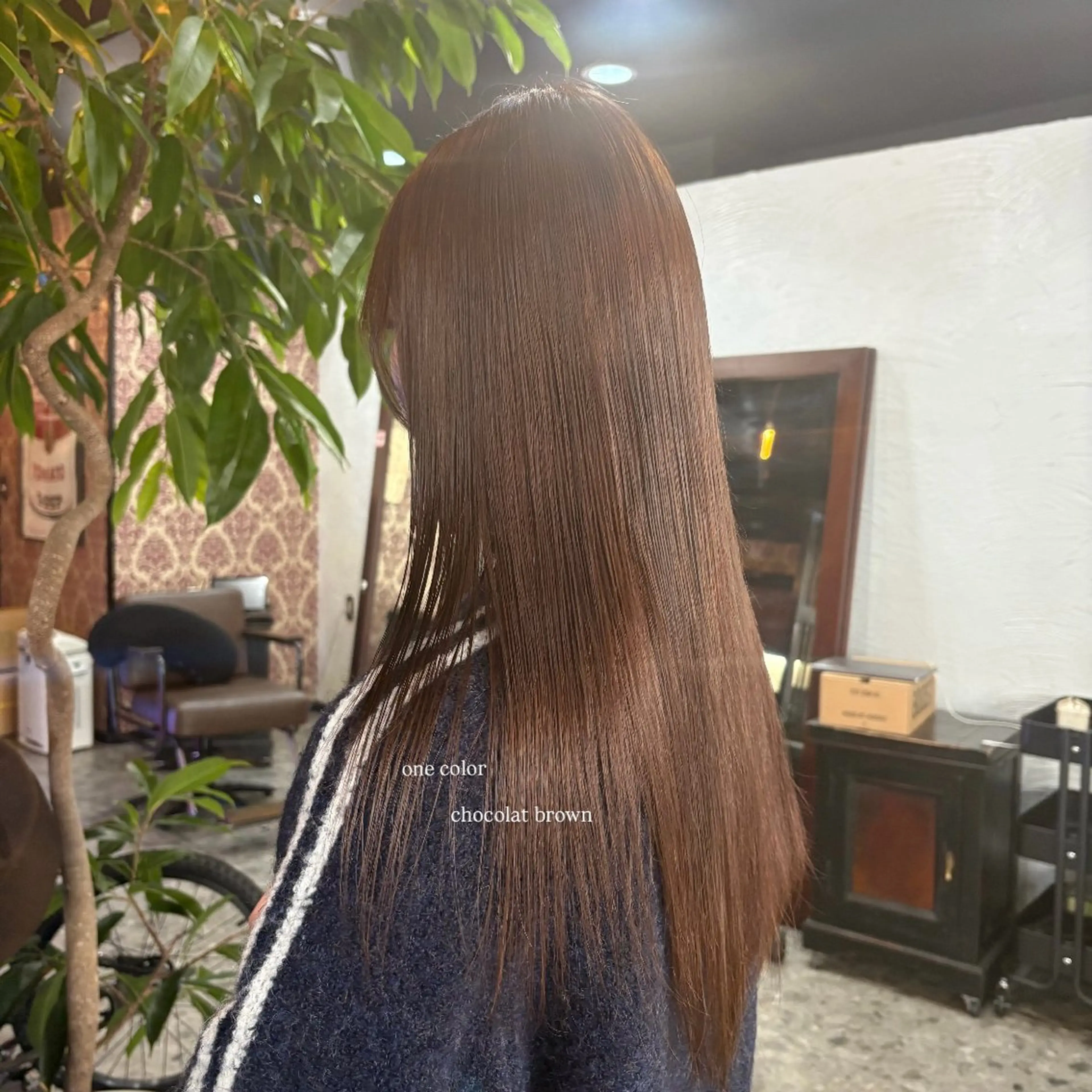 【20時〜限定】ワンカラー🫧の写真