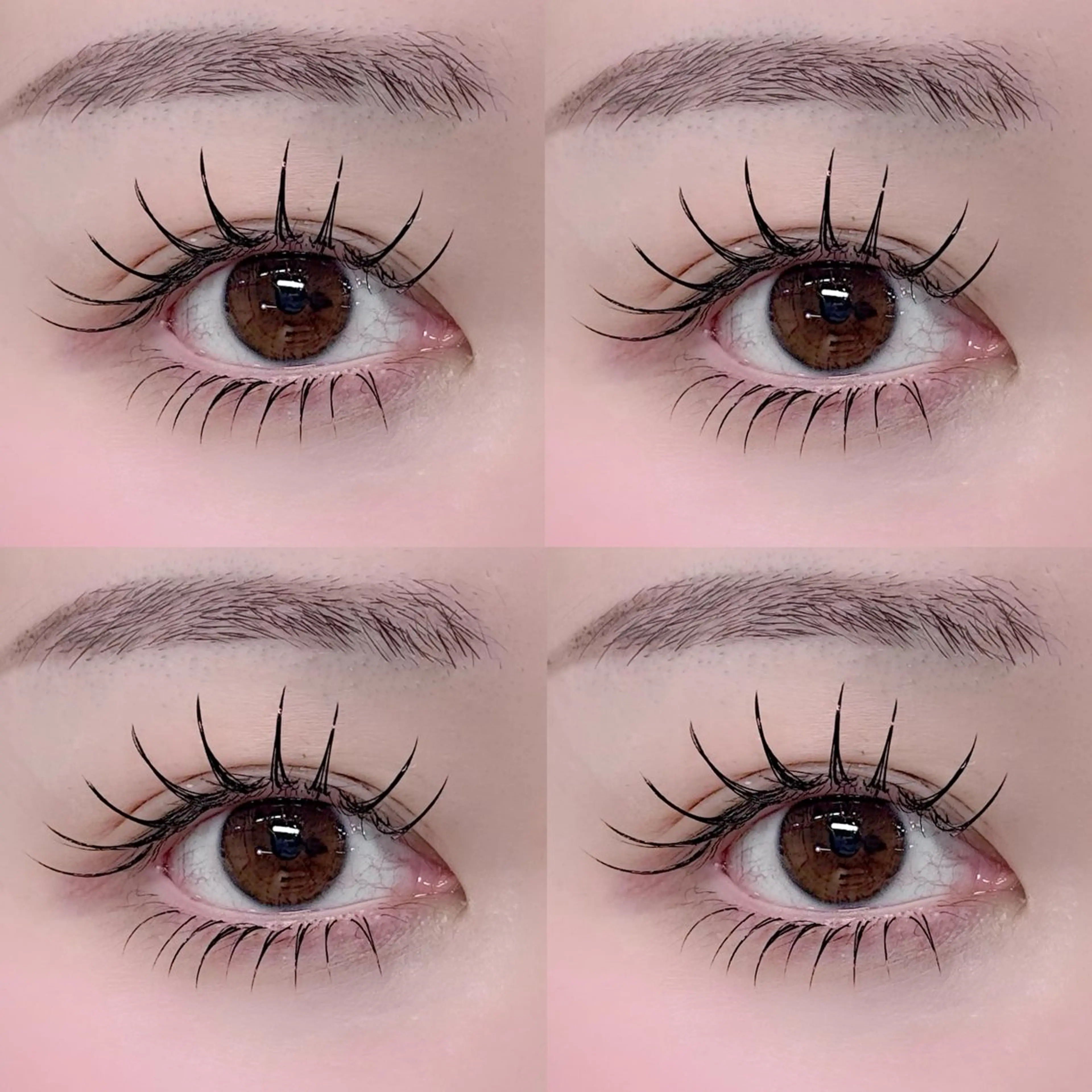 マツエク・マツパ CINDY【シンディ】大井町店所属・Cindy  大井町 🩶 asakaのマツエク・マツパデザイン