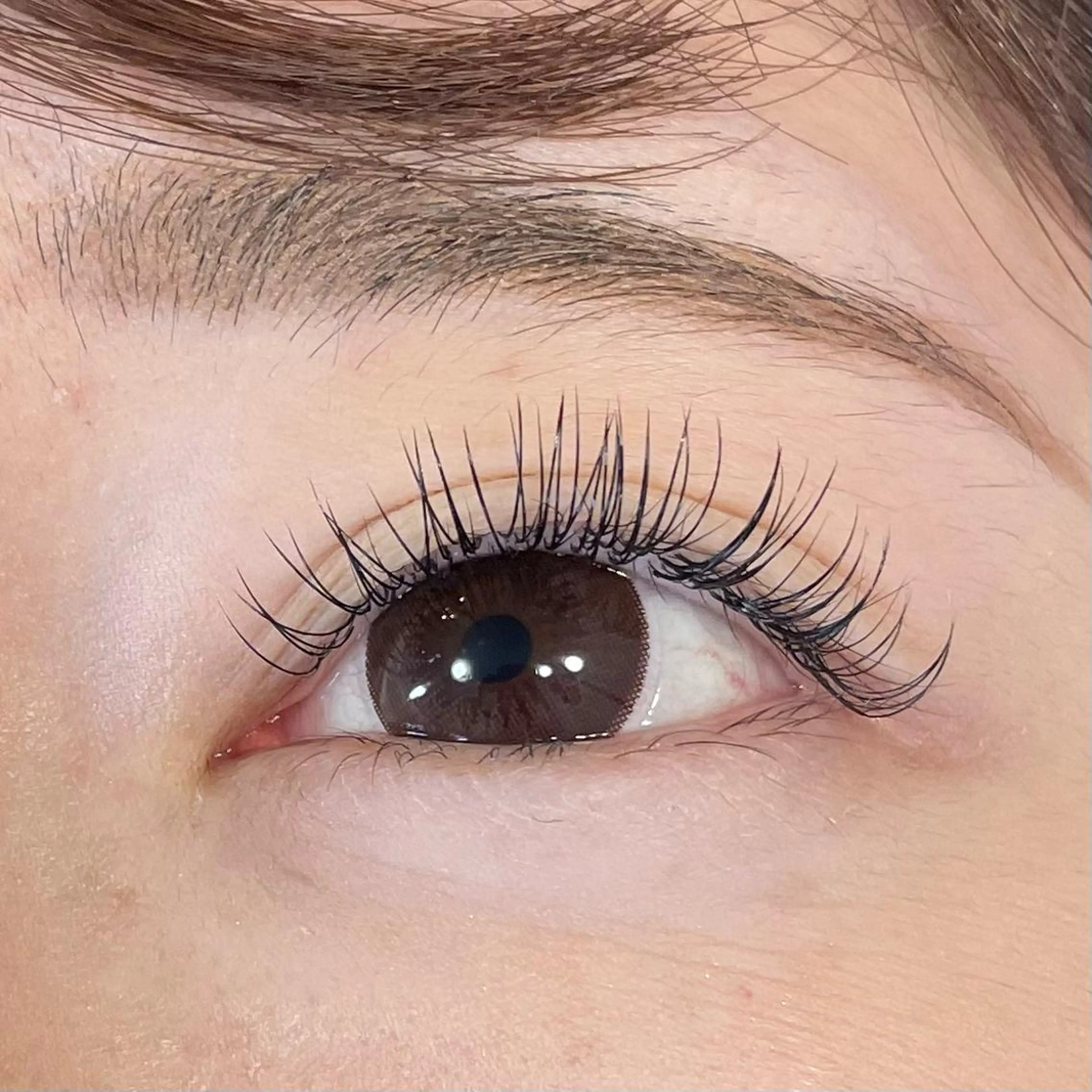 マツエク・マツパ Dカール フラットラッシュ 当日◎中目黒 まつげまゆげサロンのマツエク・マツパデザイン