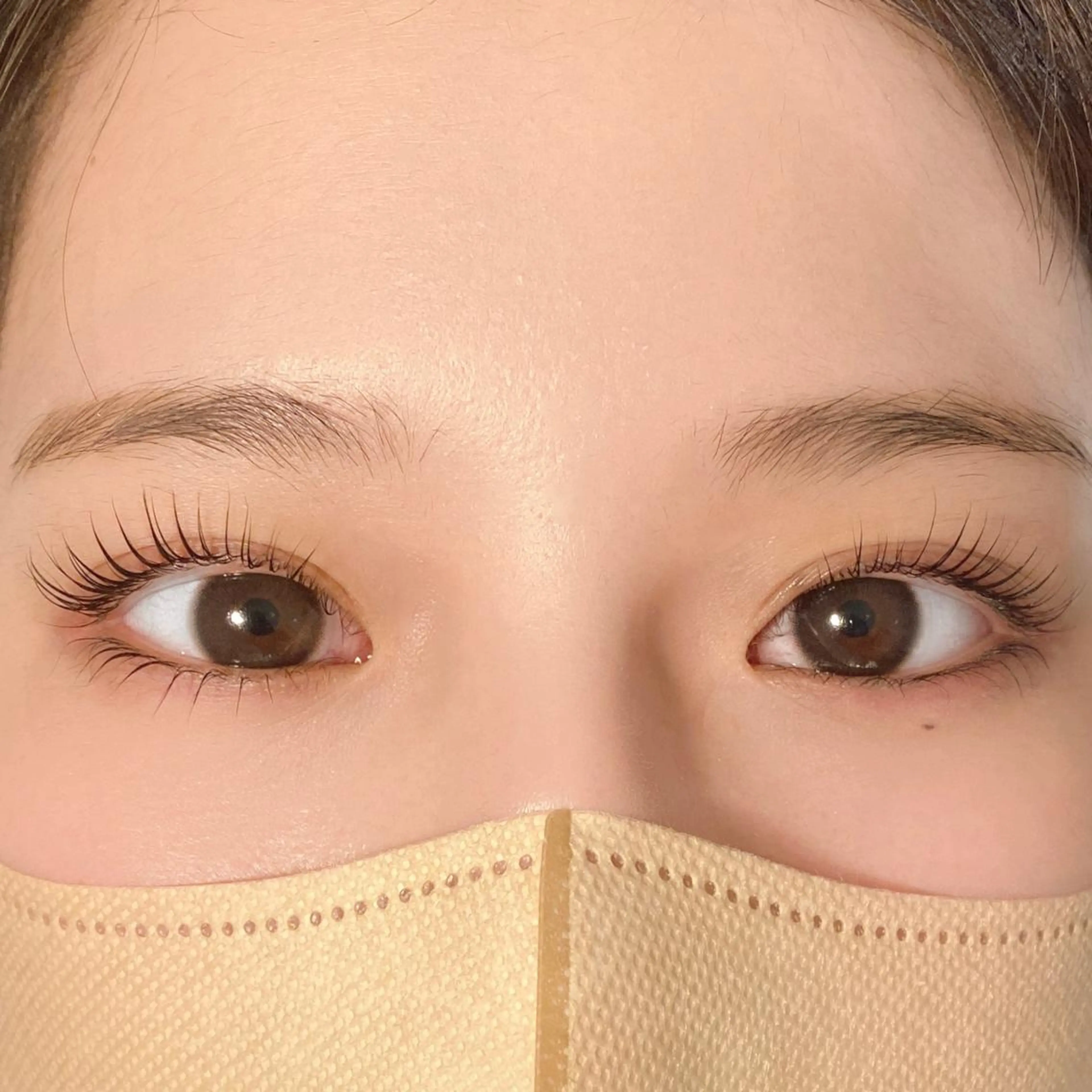 🦋パリジェンヌラッシュリフト🦋 別途オフ代¥350の写真