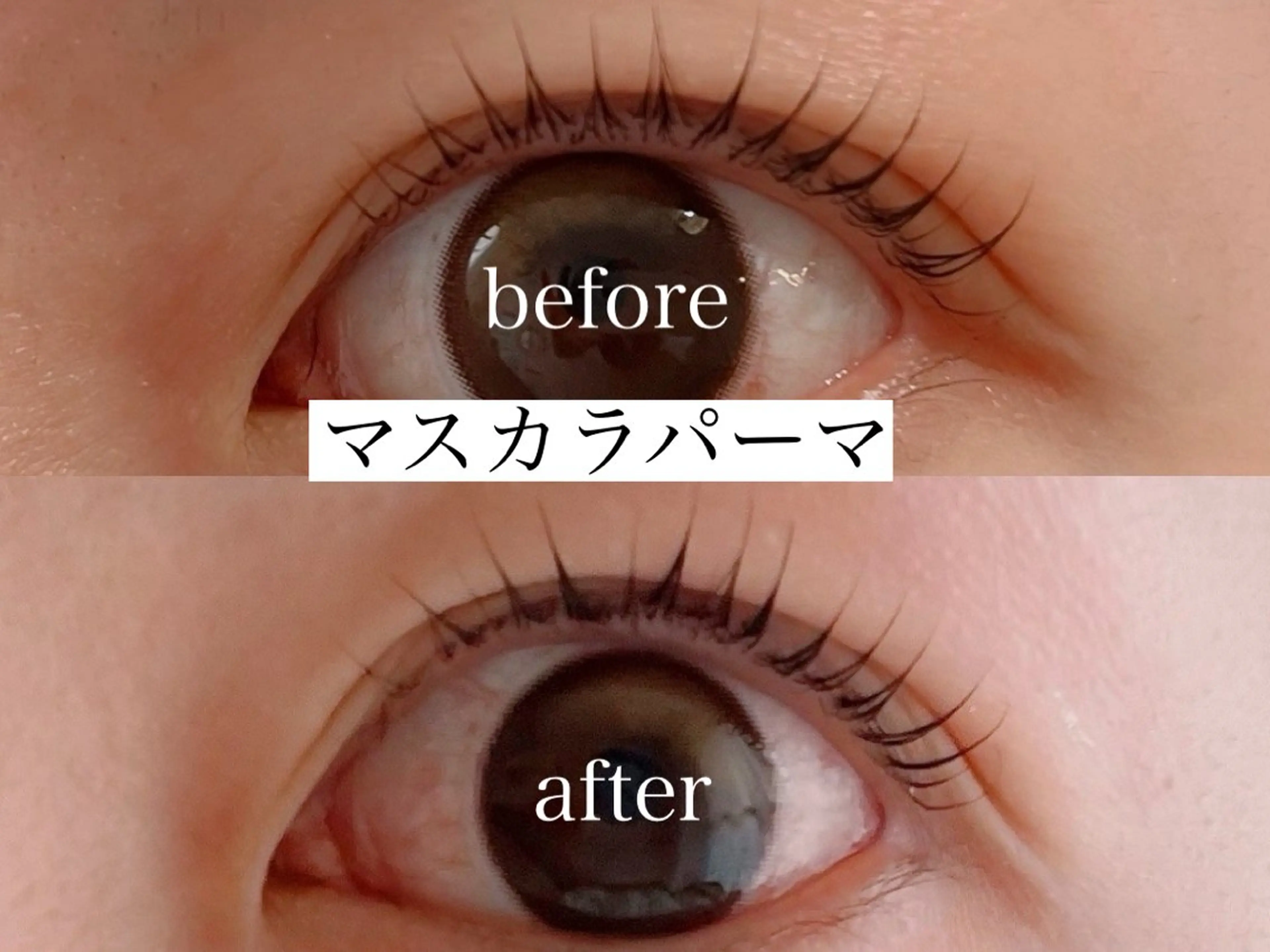 マツエク・マツパ eyelasheeeアイラシー所属・eyelasheee アイラシーのマツエク・マツパデザイン