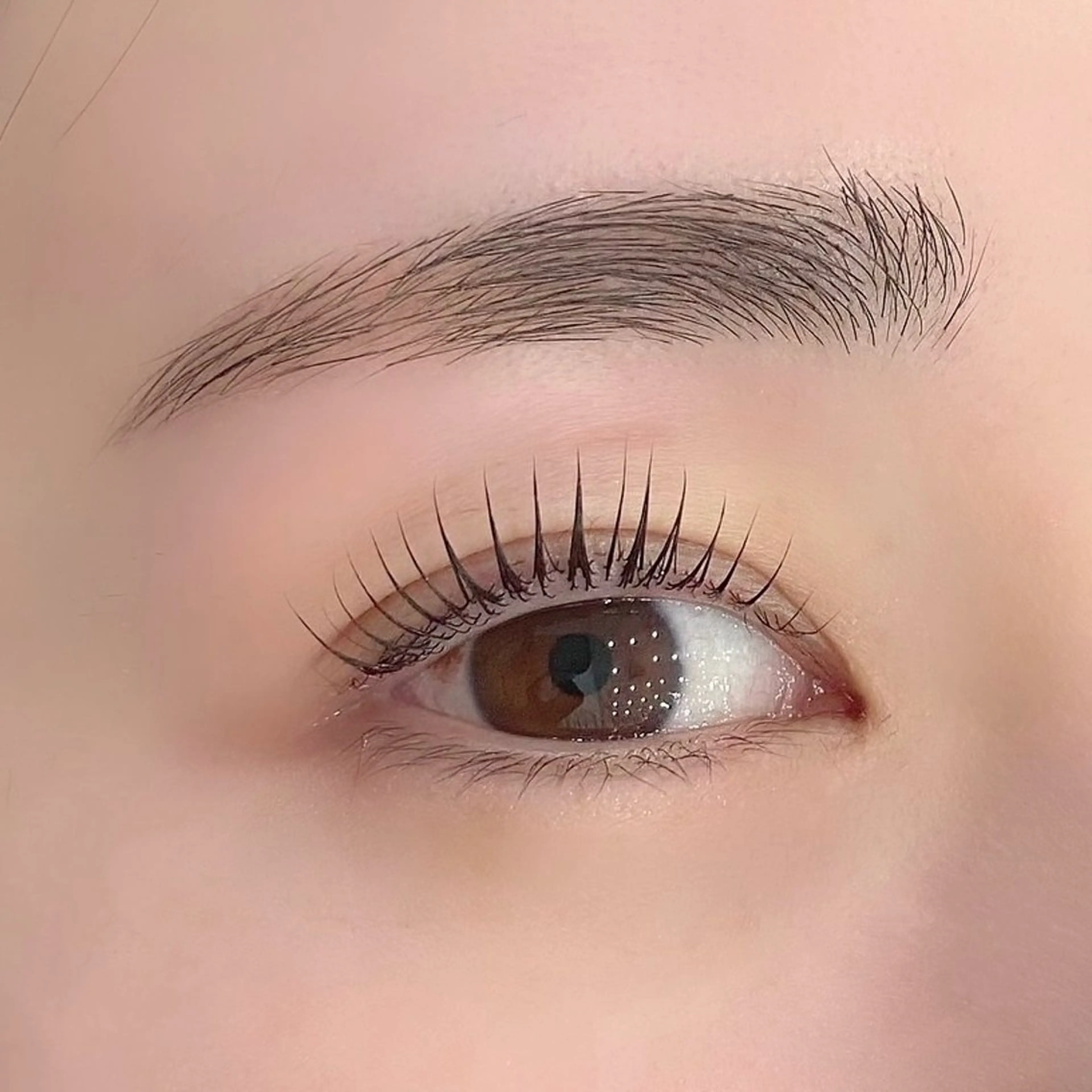 🎀韓国束間まつ毛パーマ🎀【コーティング/アイシャンプー付🫧】の写真