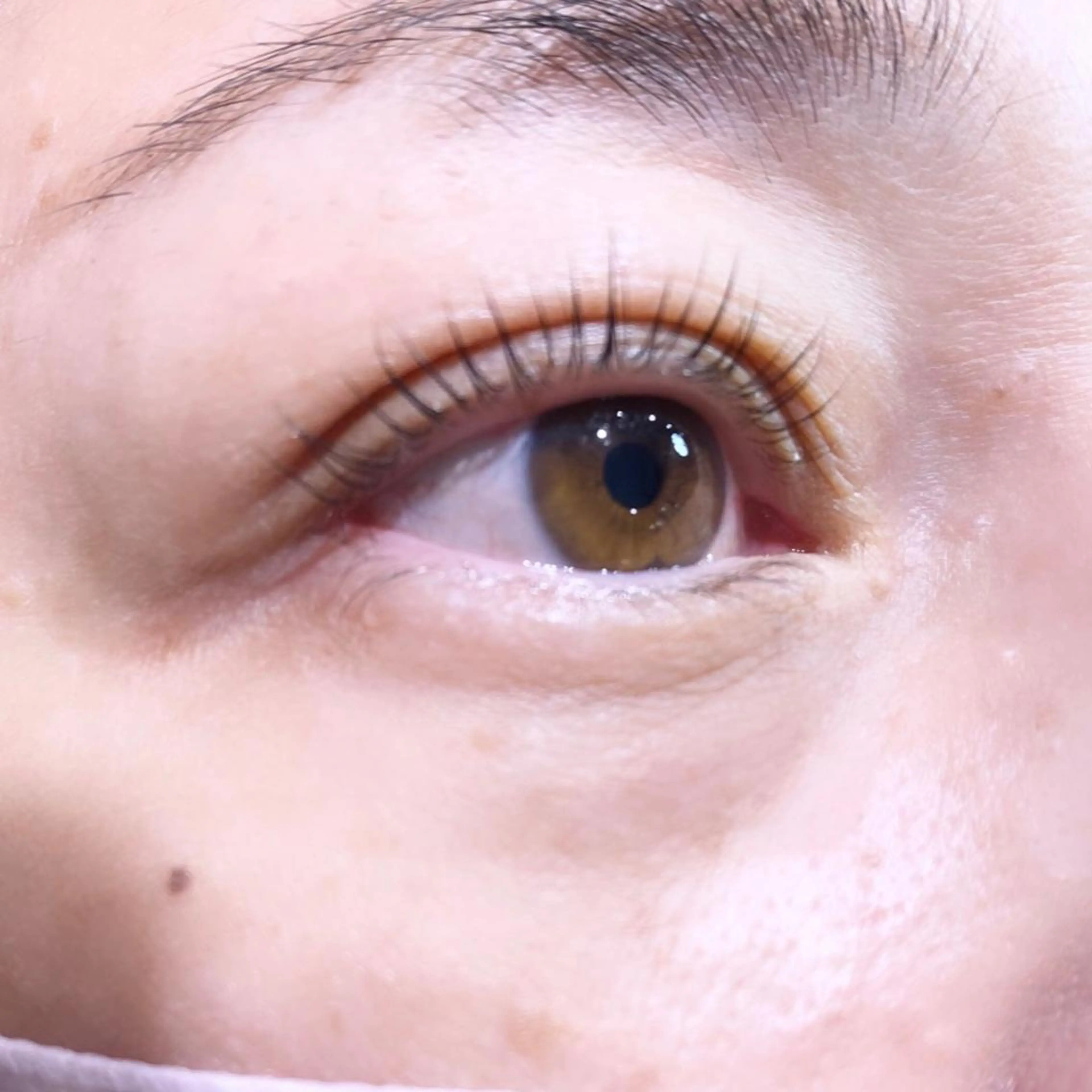 マツエク・マツパ パリジェンヌラッシュリフト 艶カラー/耳つぼ/ 渡辺奈緒のその他イメージ