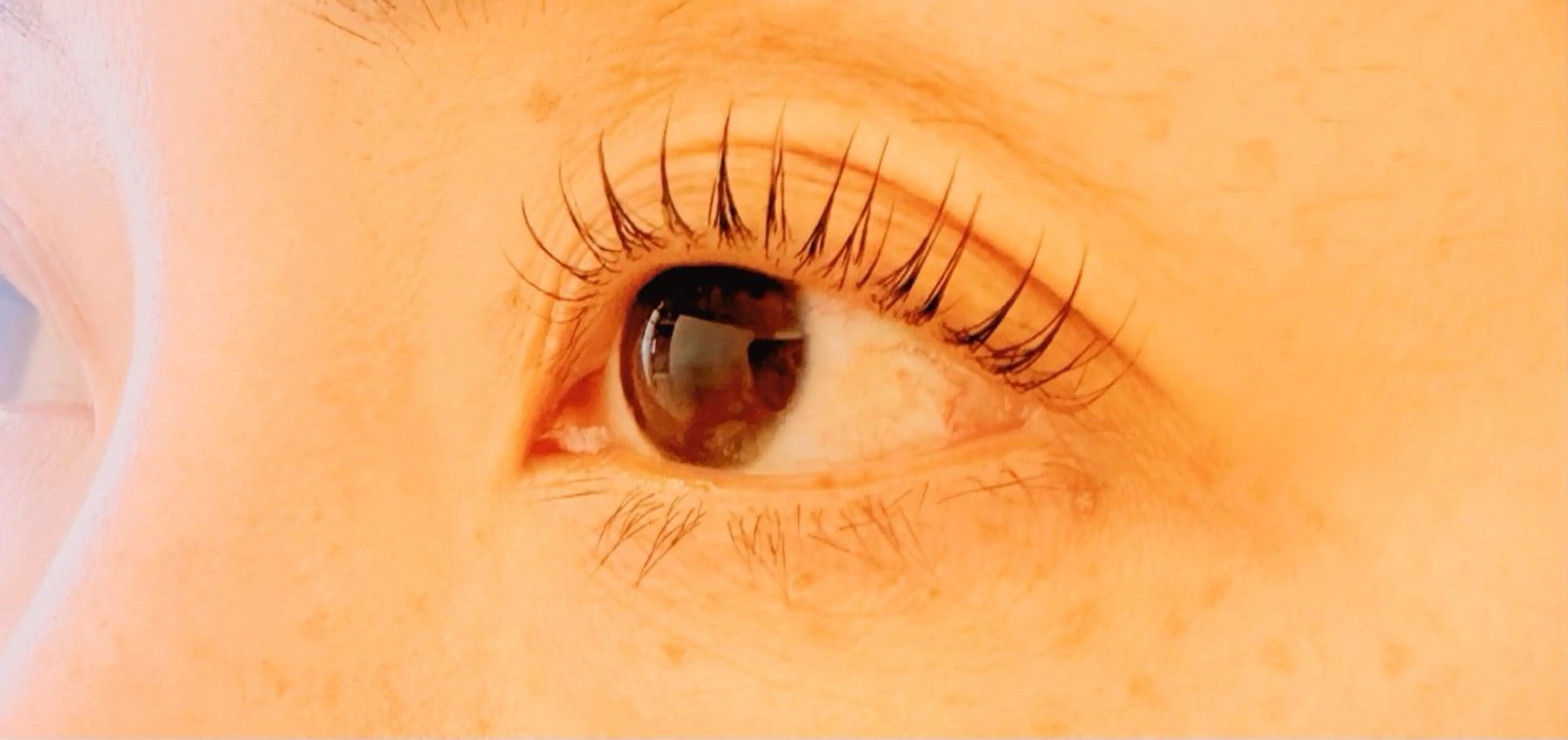 マツエク・マツパ aya 🫧の眉毛・アイブロウイメージ