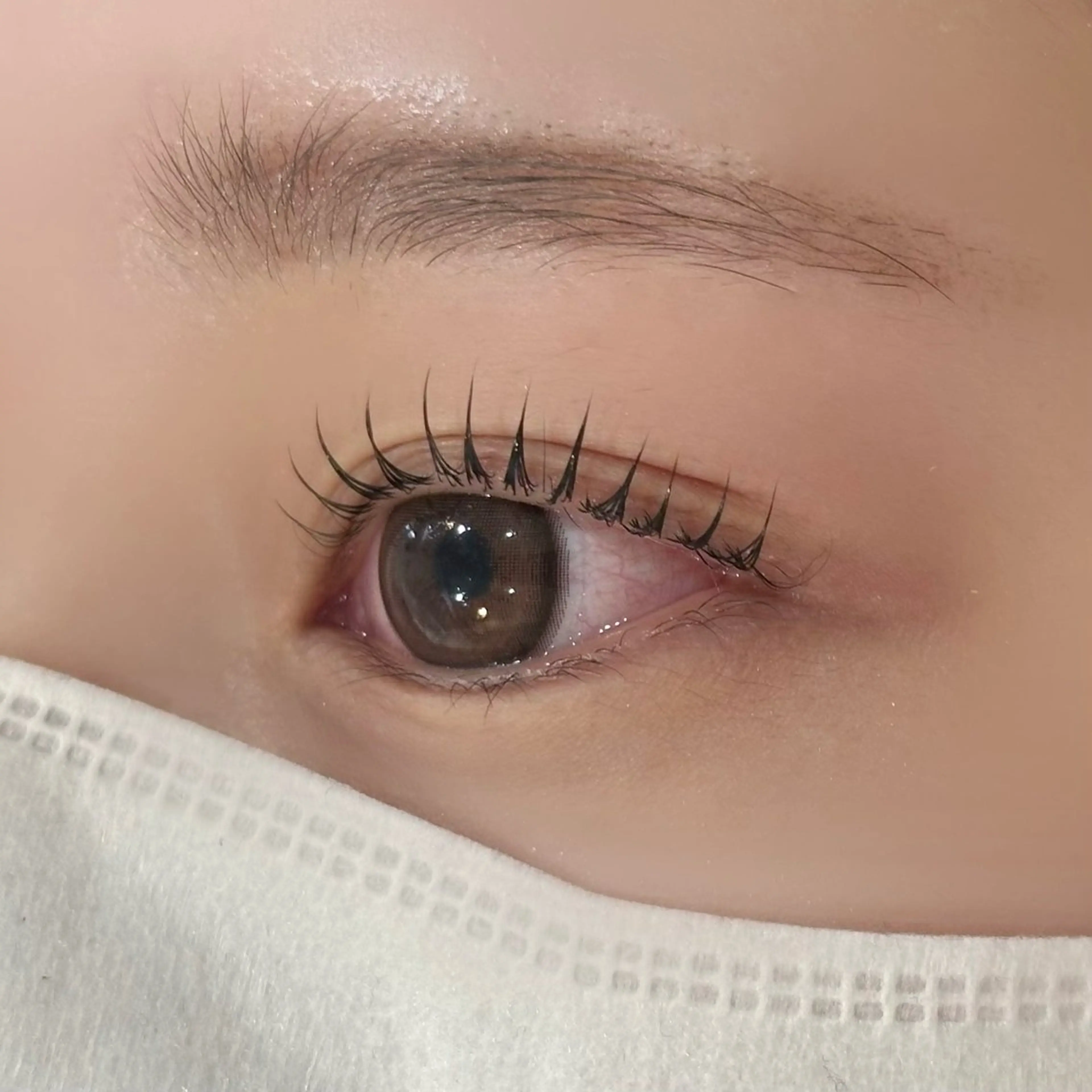 マツエク・マツパ Cカール Lカール パリジェンヌラッシュリフト 一重×まつ毛パーマ マツパ eyelash Zen　manakaのマツエク・マツパデザイン