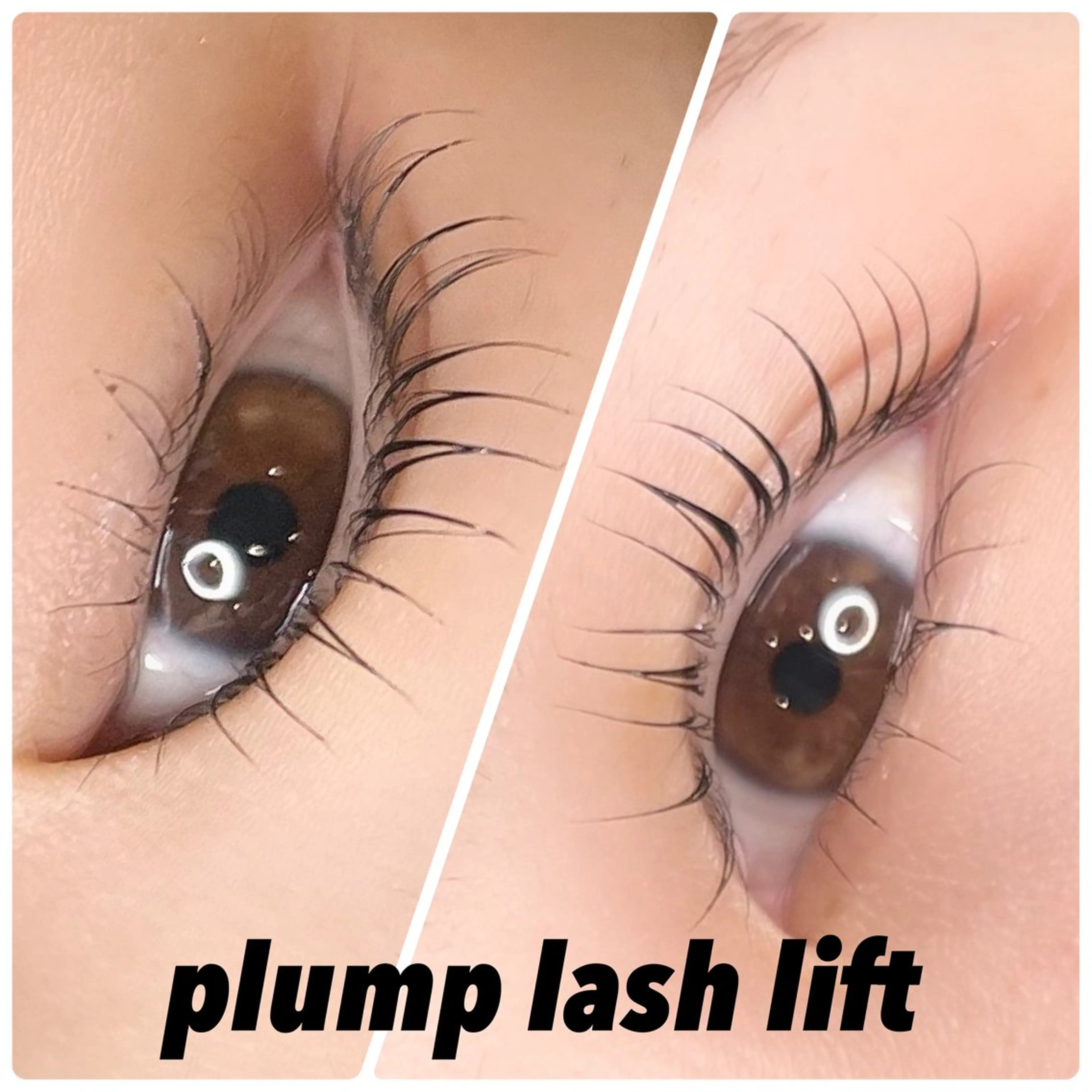plump lash lift 🗽💓上下の写真