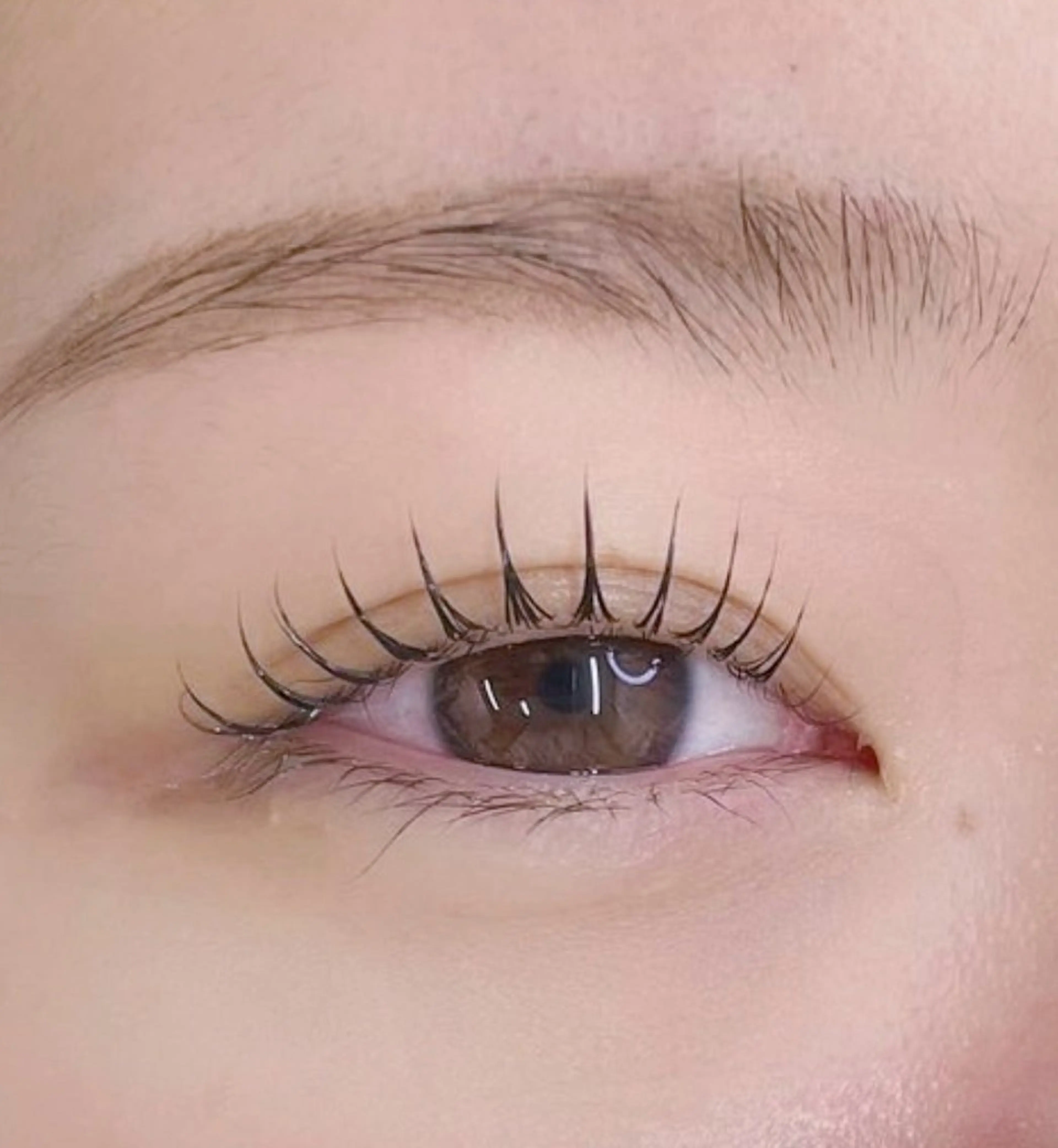 ケラチントリートメント、コーティング付きラッシュリフトorパリジェンヌ🌈の写真