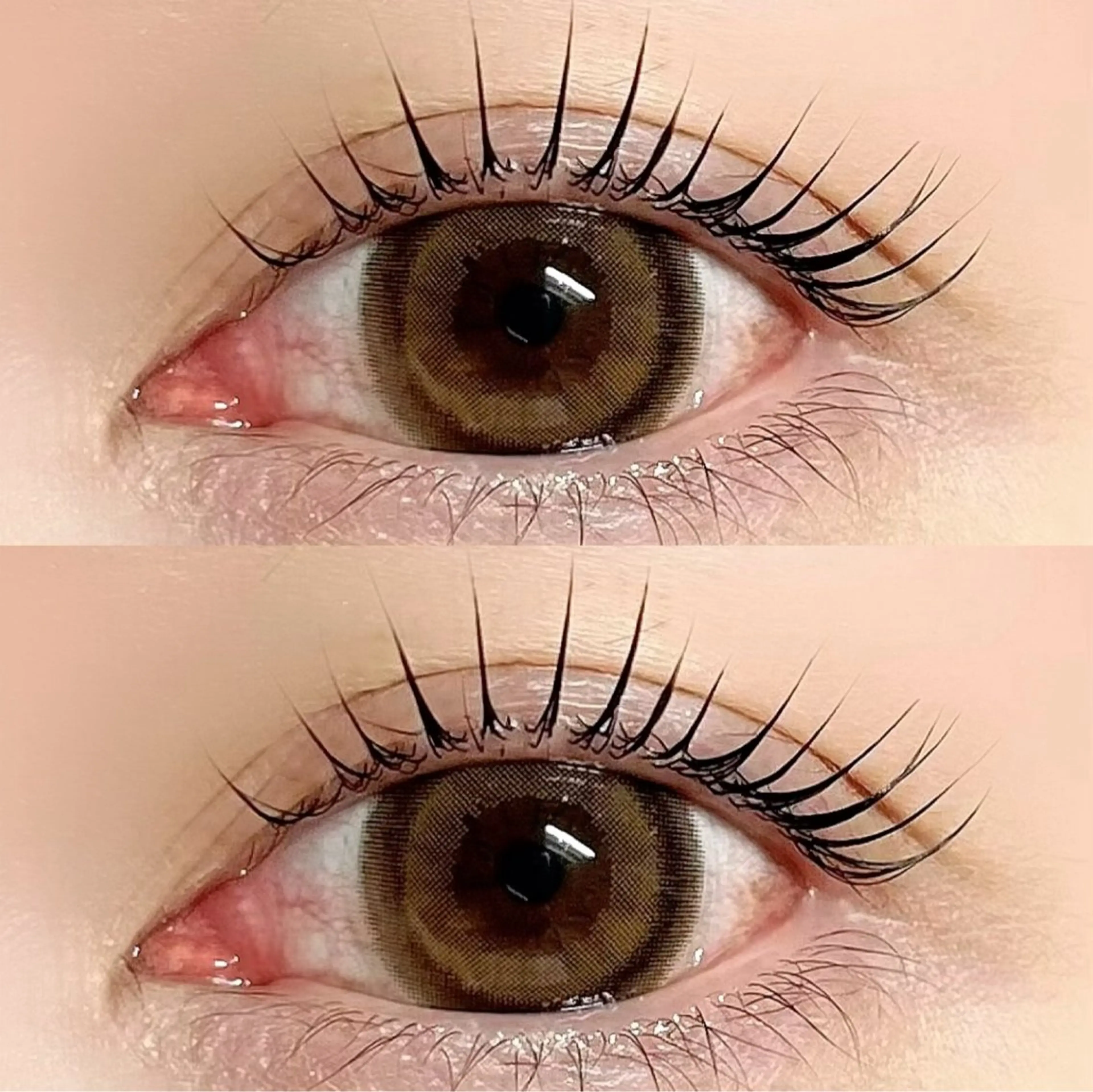 🌼ラッシュリフト🌼の写真