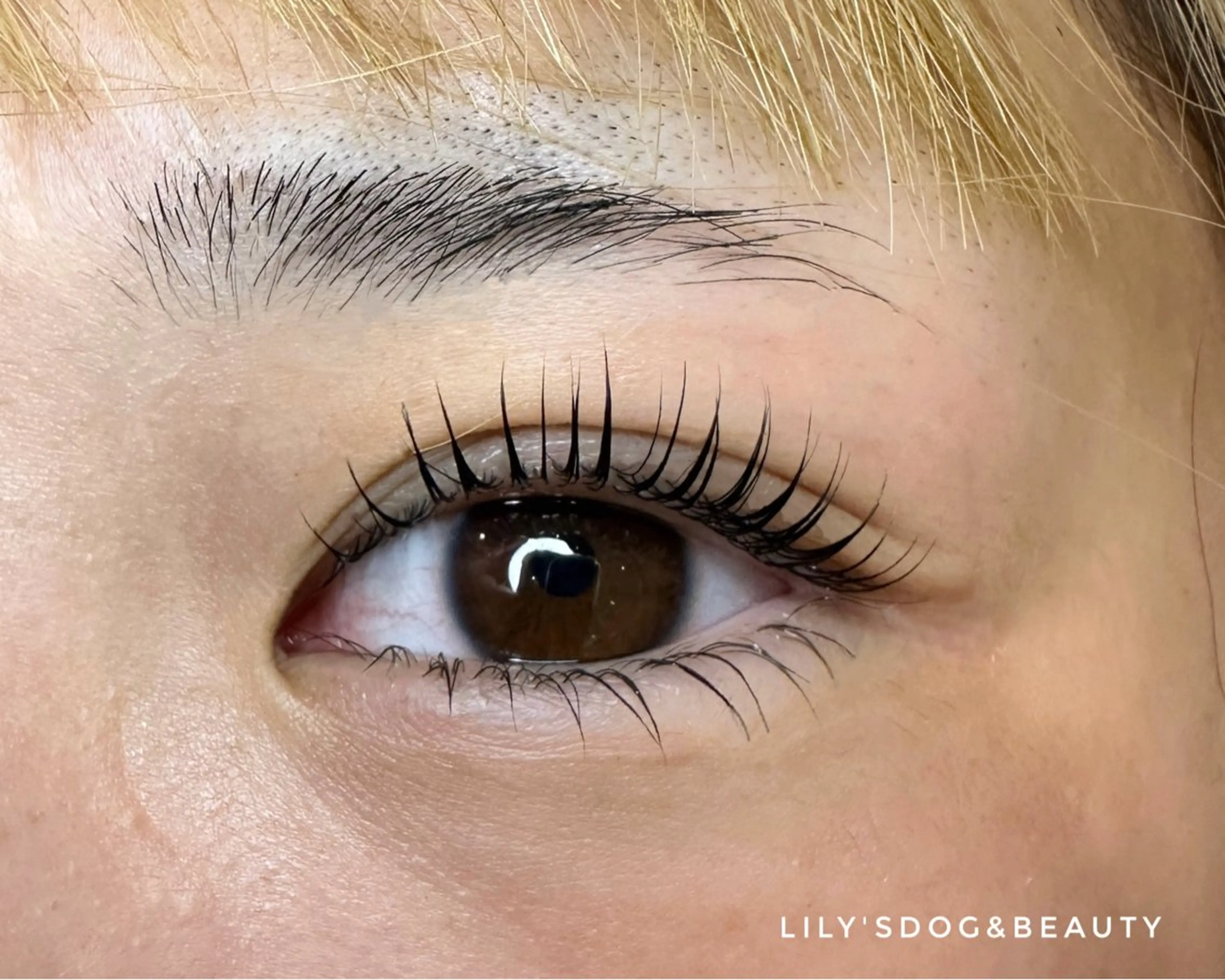 マツエク・マツパ Lily's ®️enaのマツエク・マツパデザイン