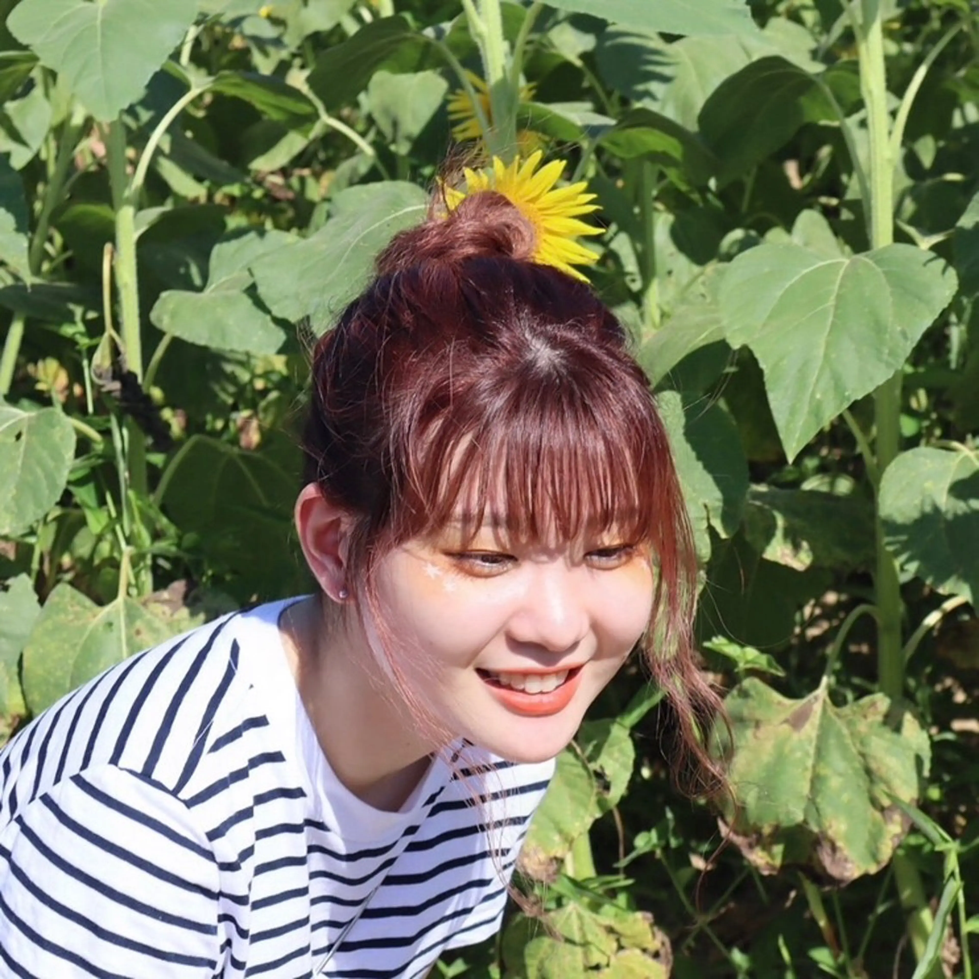 ミディアム 本田 聖のヘアスタイル