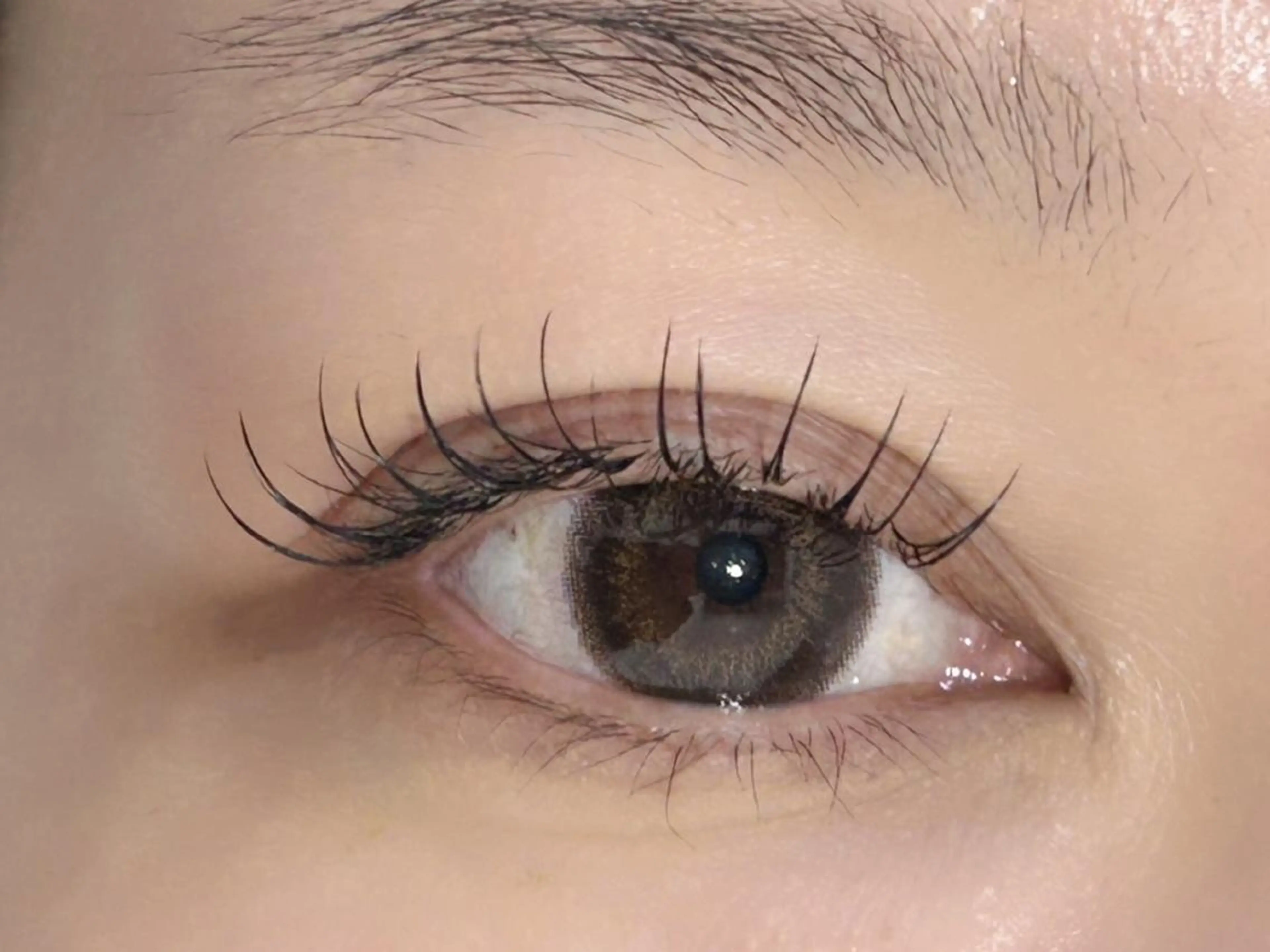 マツエク・マツパ マツエク まつパ/束感マツエク 🧸suzunaのマツエク・マツパデザイン