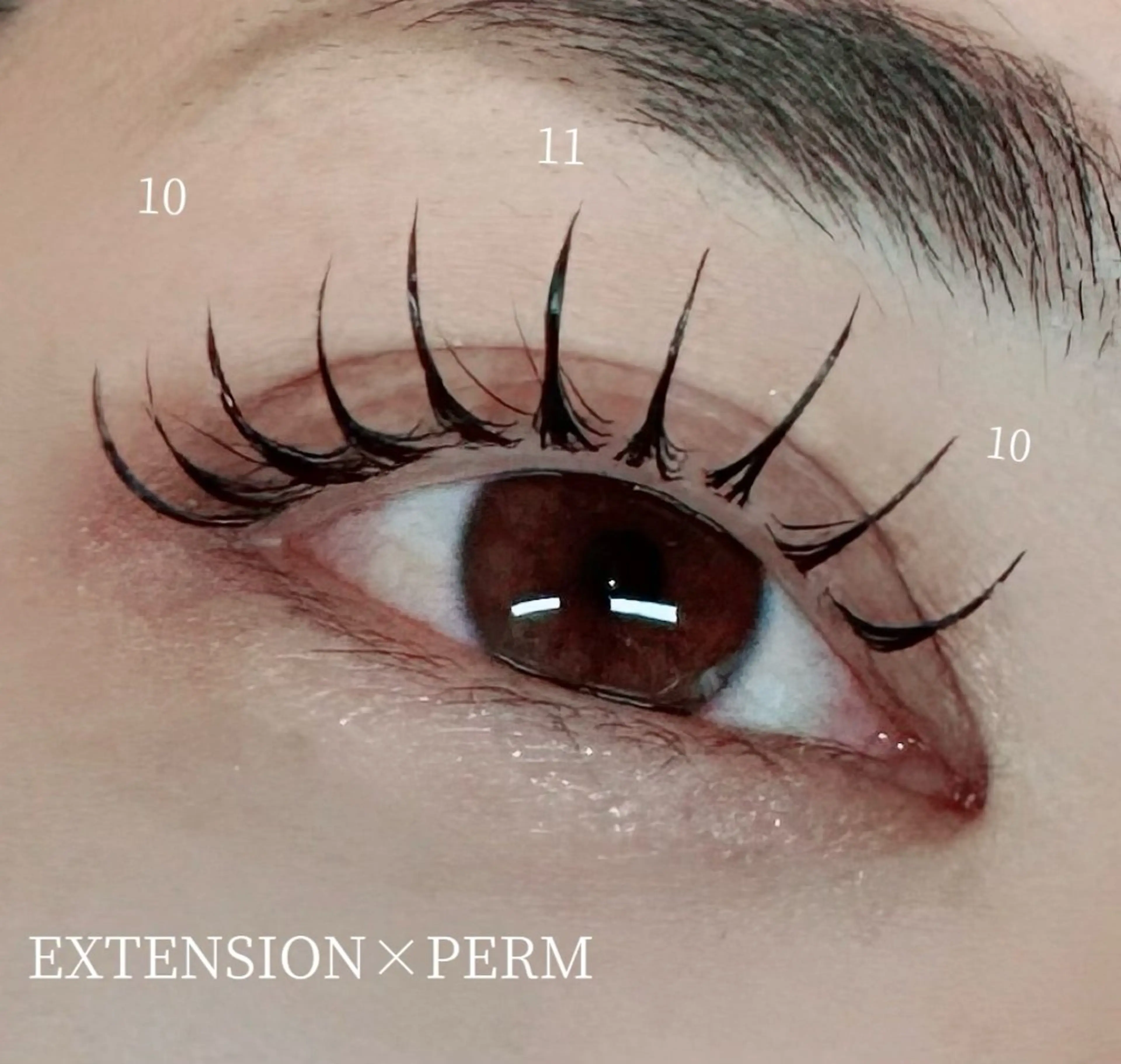 マツエク・マツパ Lumity川越 齋藤のマツエク・マツパデザイン