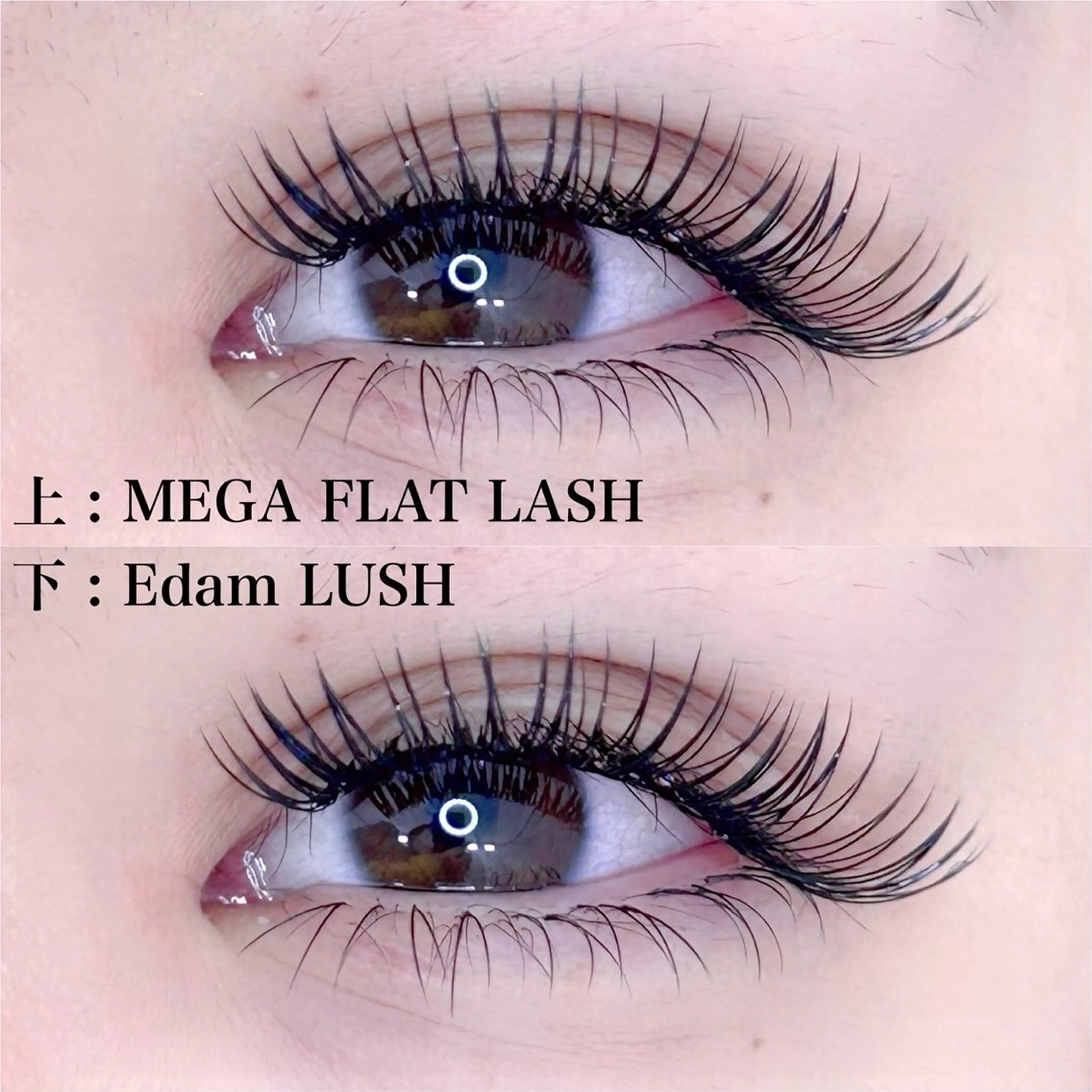 《上下セット》【持続力×ボリューム】メガフラットラッシュ付け放題¥9990【土日祝¥11000】の写真