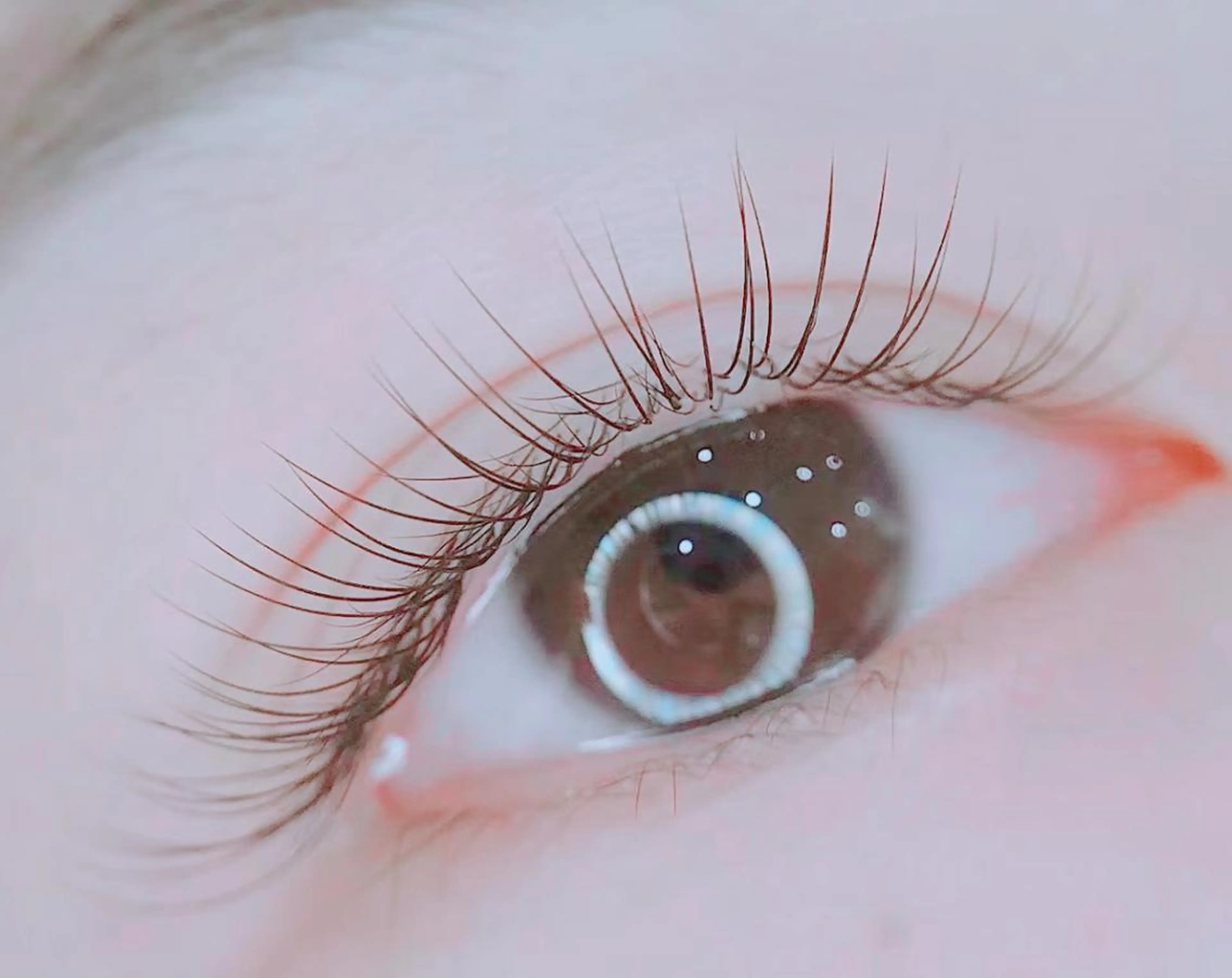 🎀 期間限定フラットラッシュ80本（オフ追加500円）の写真