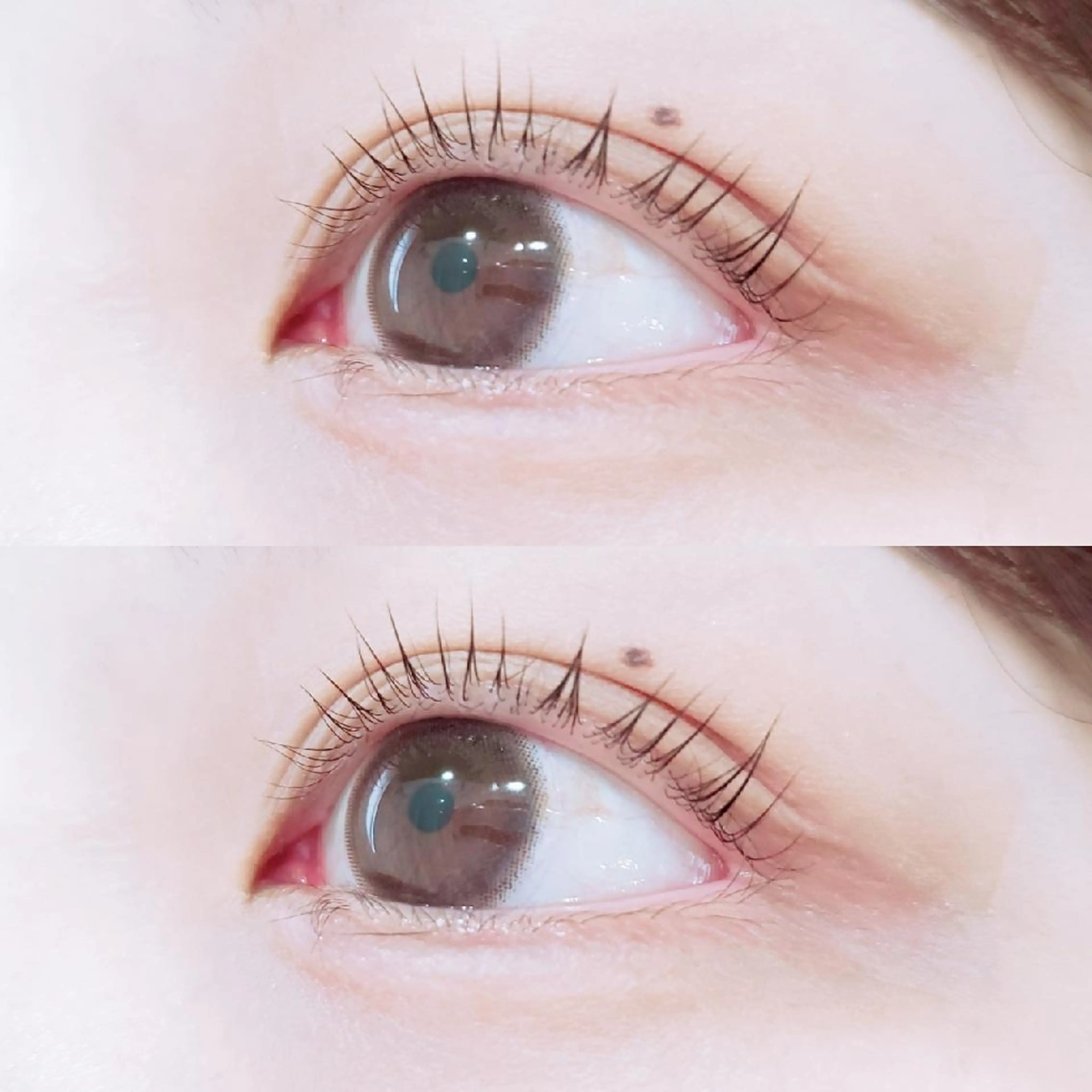 パーマ ミントラッシュ所属・minte   🐑naho🐑のマツエク・マツパデザイン