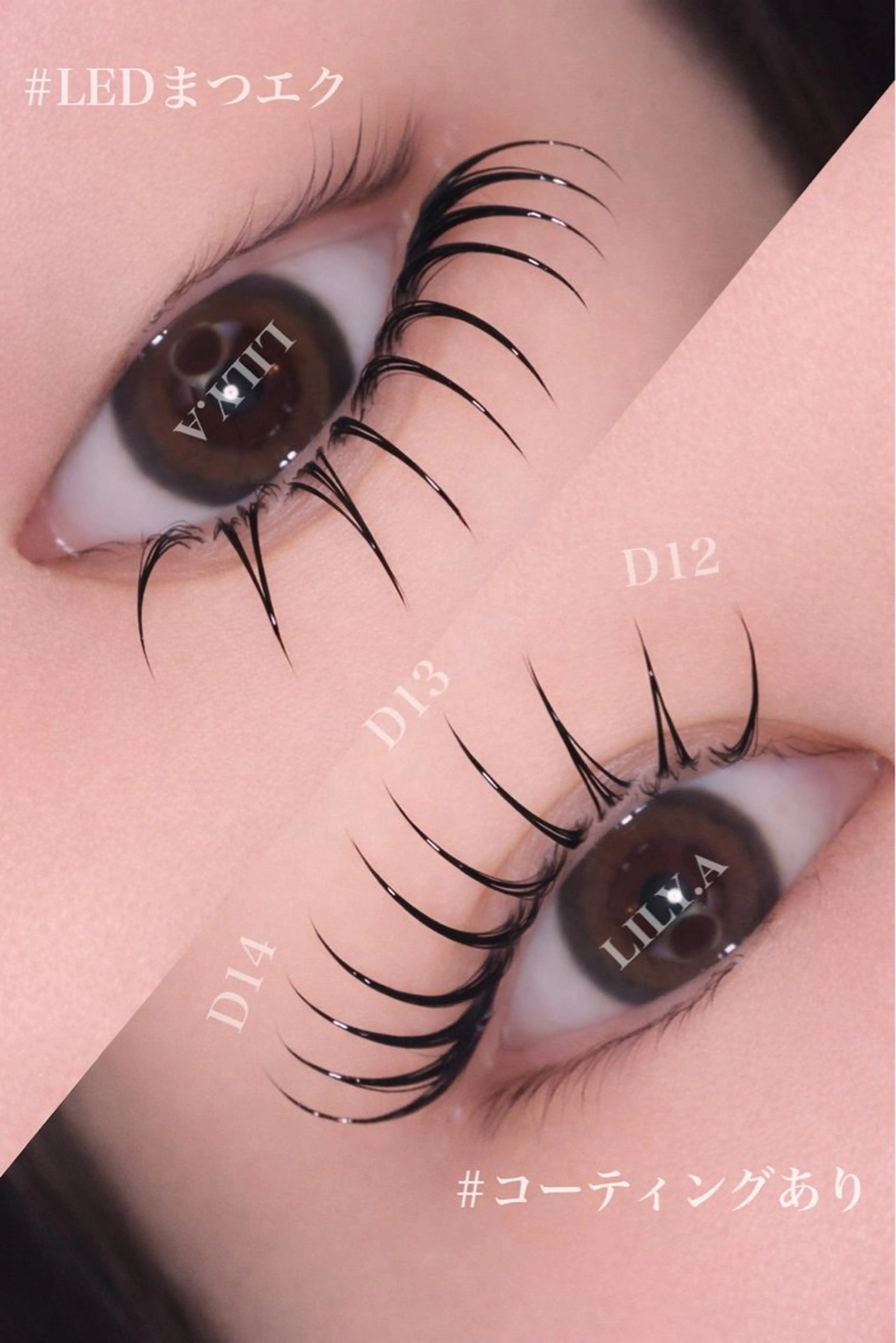 【OPEN記念クーポン】【ご新規様限定】パリエク80本の写真