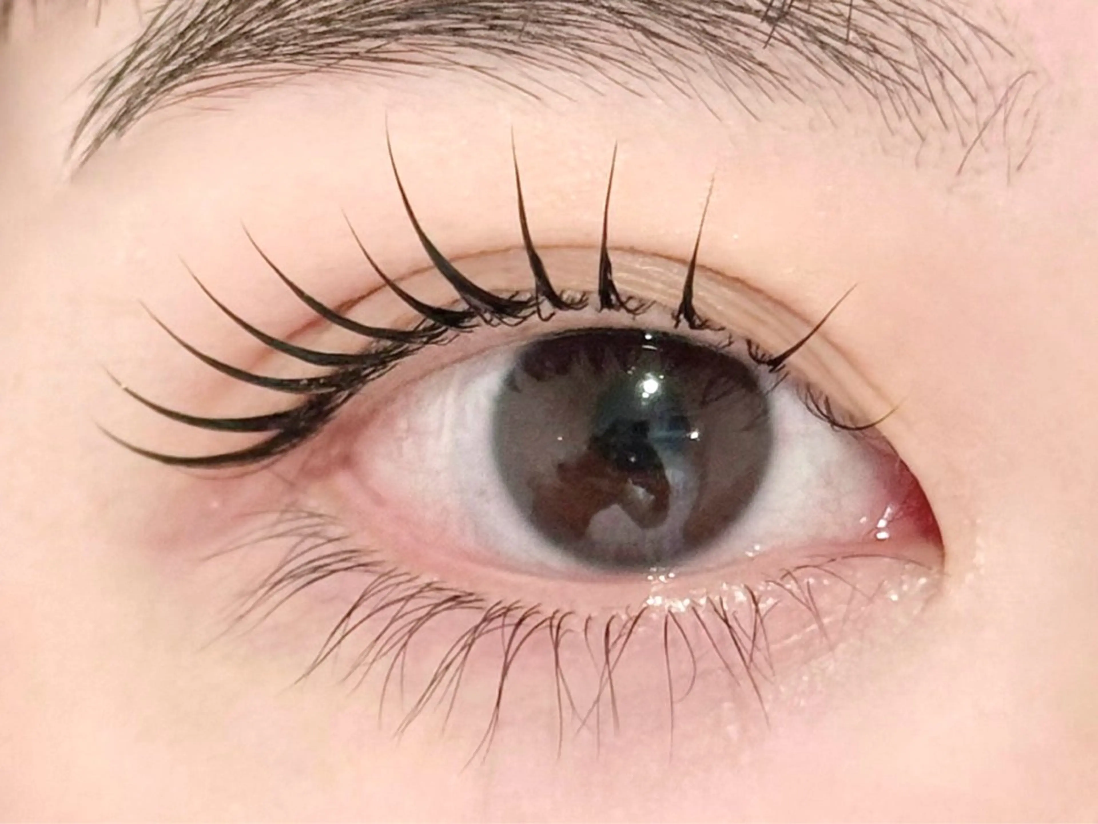 マツエク・マツパ MIRROR eyelashes eyebrows所属・ユウナ ︎︎ MIRRORの眉毛・アイブロウイメージ