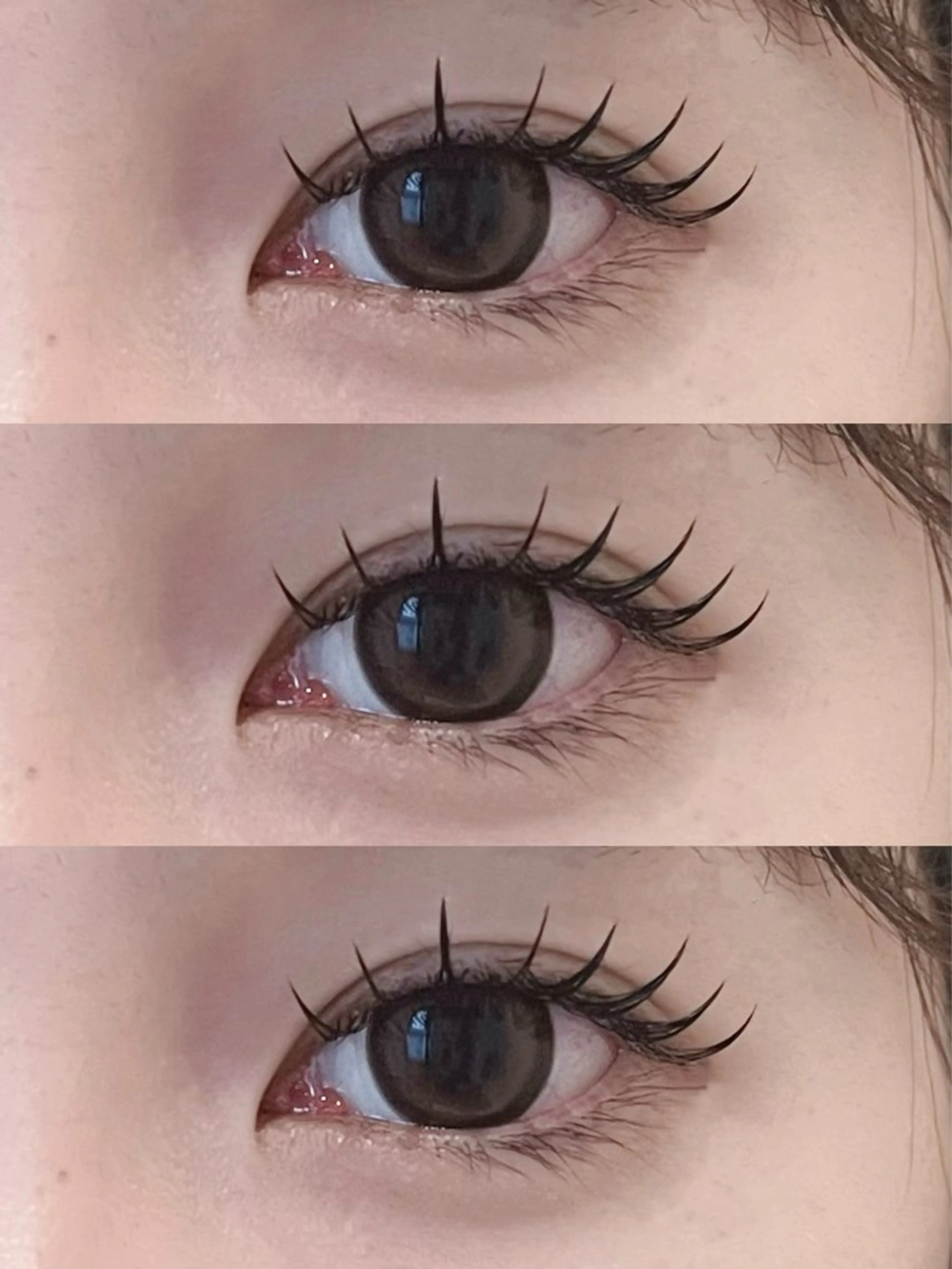 フラットラッシュ120本の写真