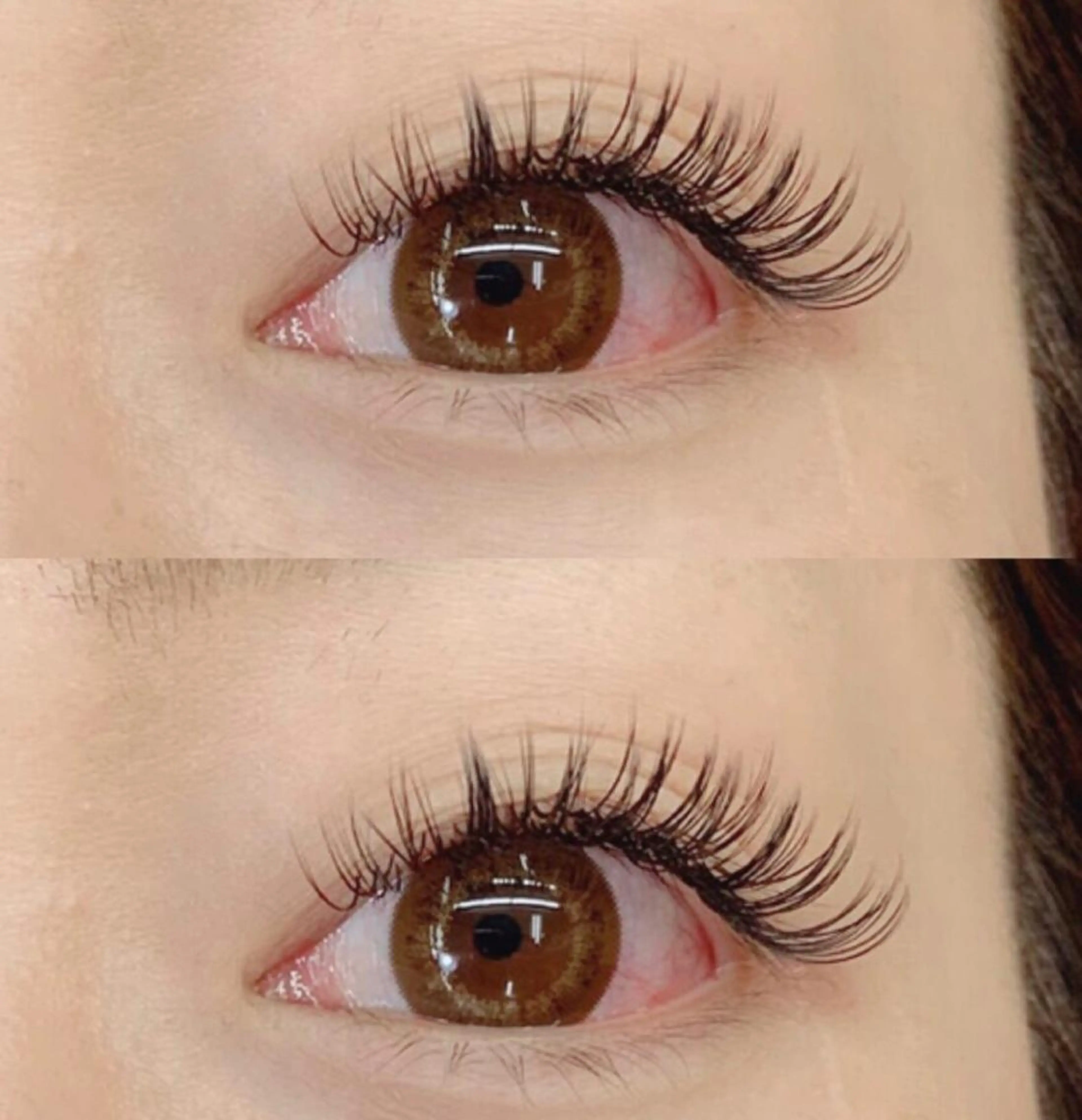 【バインドロック】【ボリューム向き】​〜​100束までの写真