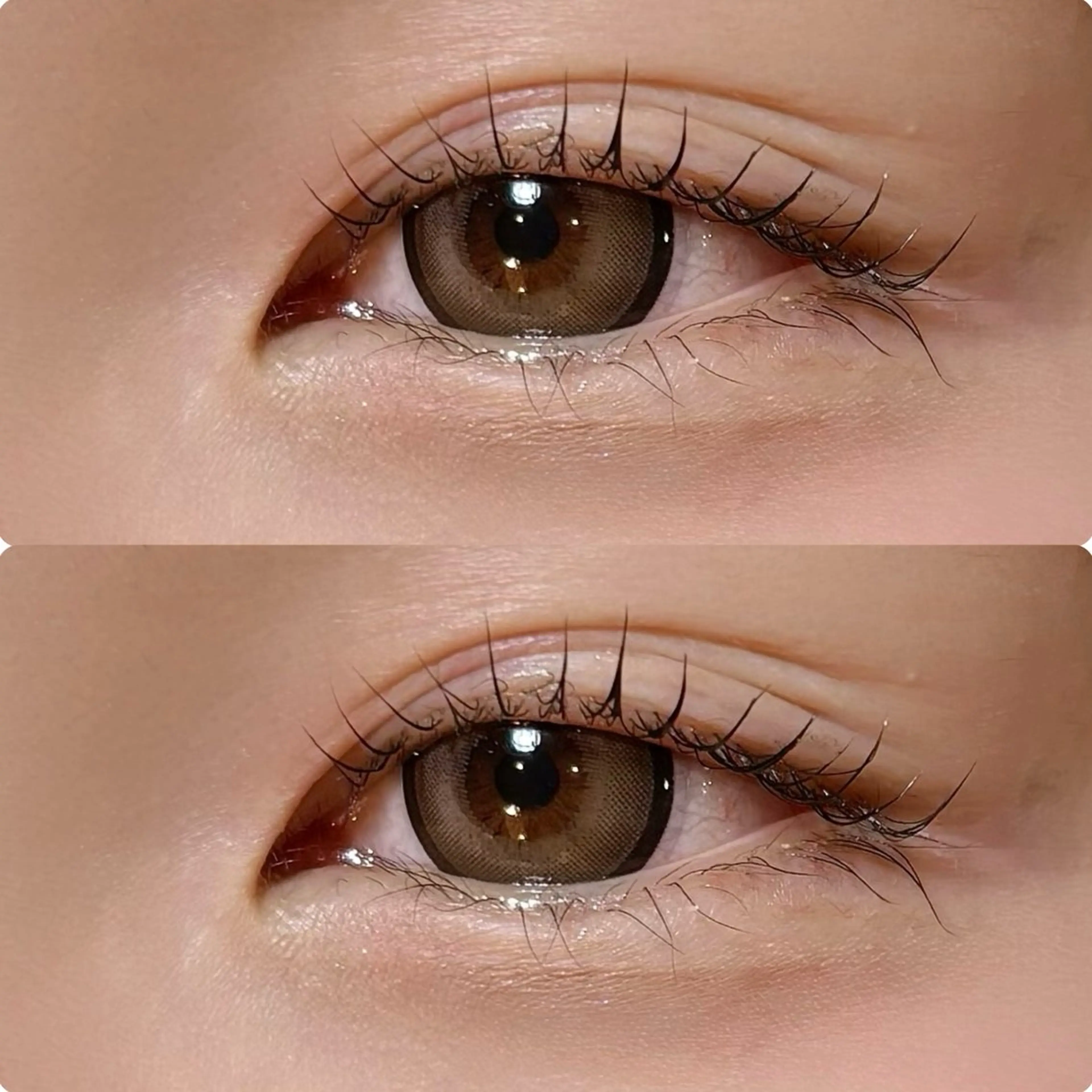 マツエク・マツパ meguru／マツパ ／マツエク／束感のマツエク・マツパデザイン